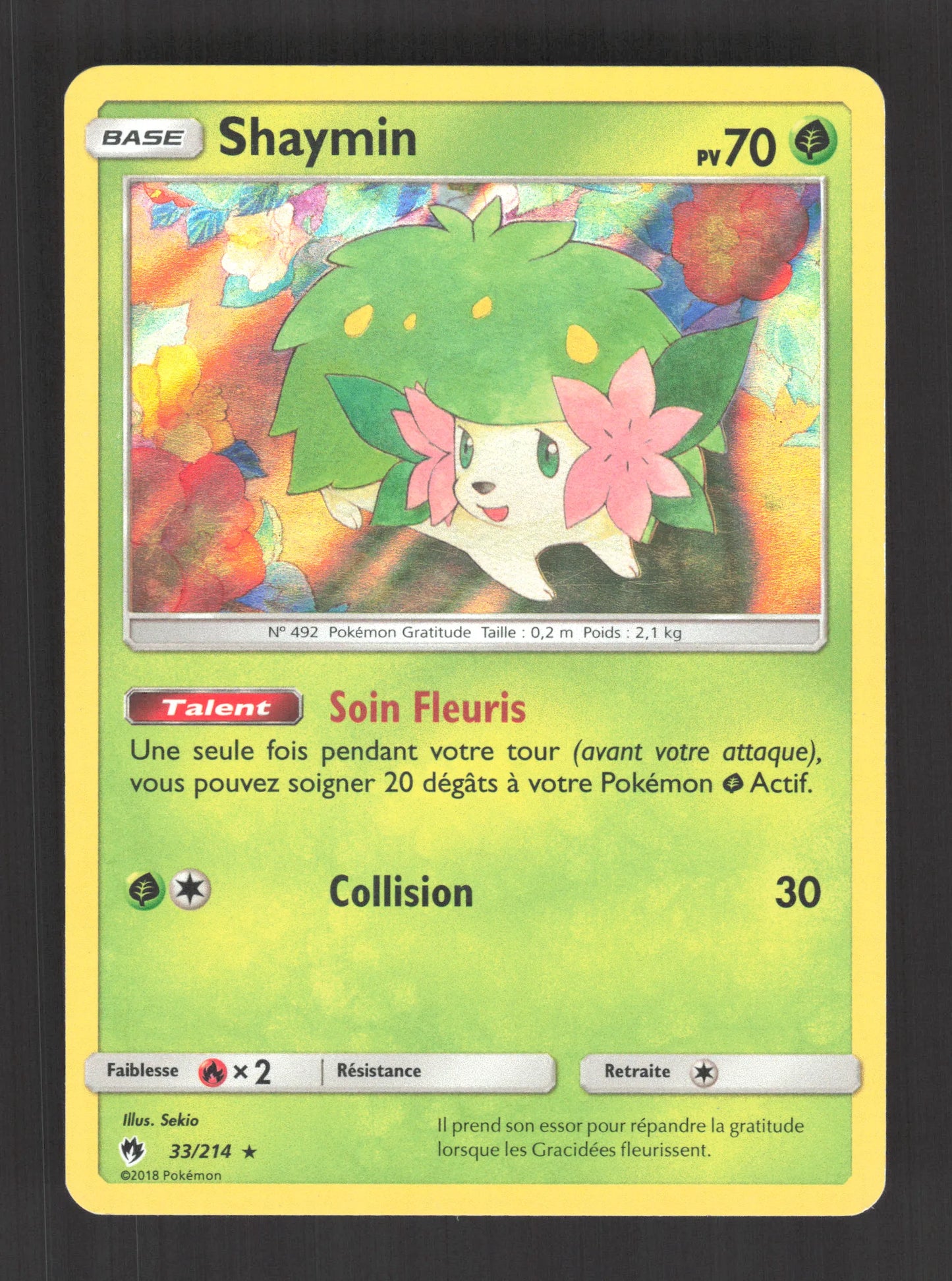 33/214 Shaymin HOLO - Tonnerre Perdu