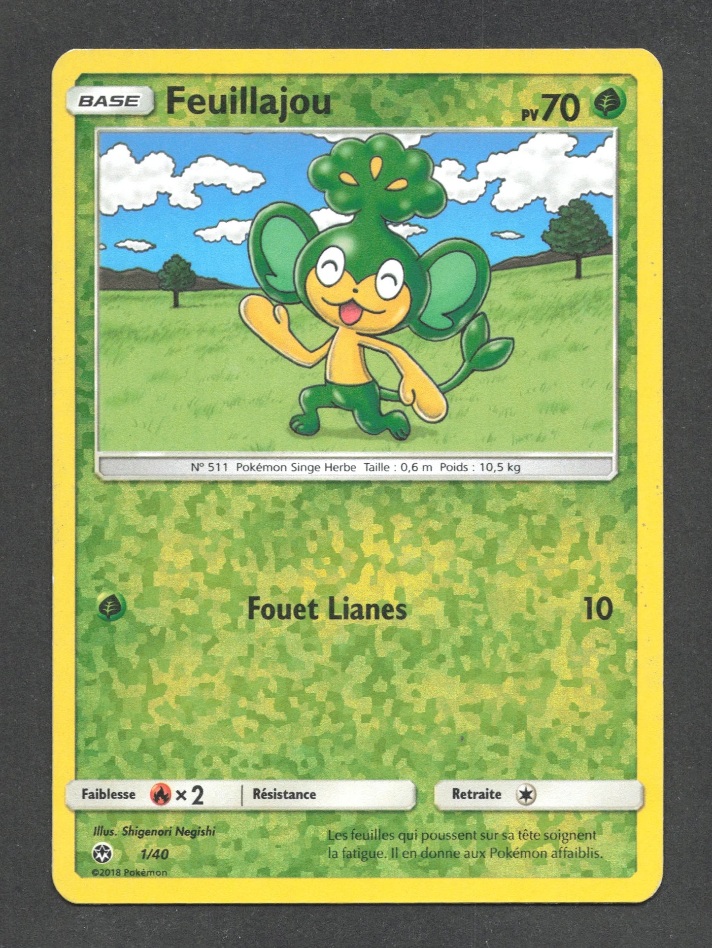 1/40 Feuillajou REVERSE - McDonald's 2018