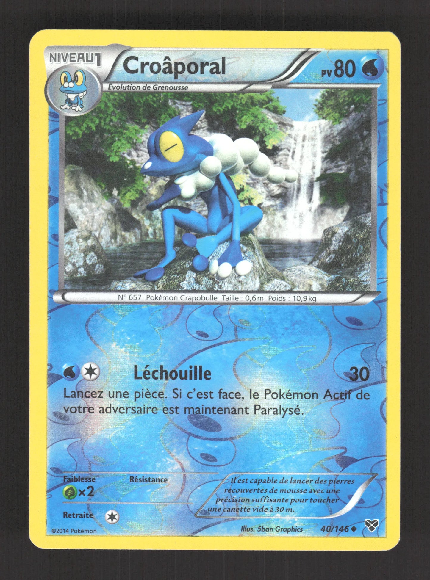 40/146 Croaporal REVERSE - XY