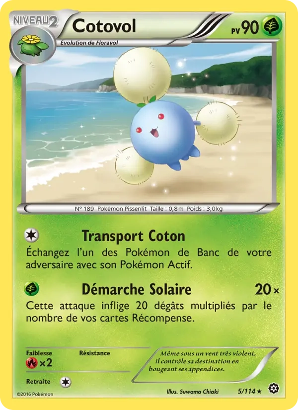 5/114 Cotovol REVERSE - Offensive Vapeur