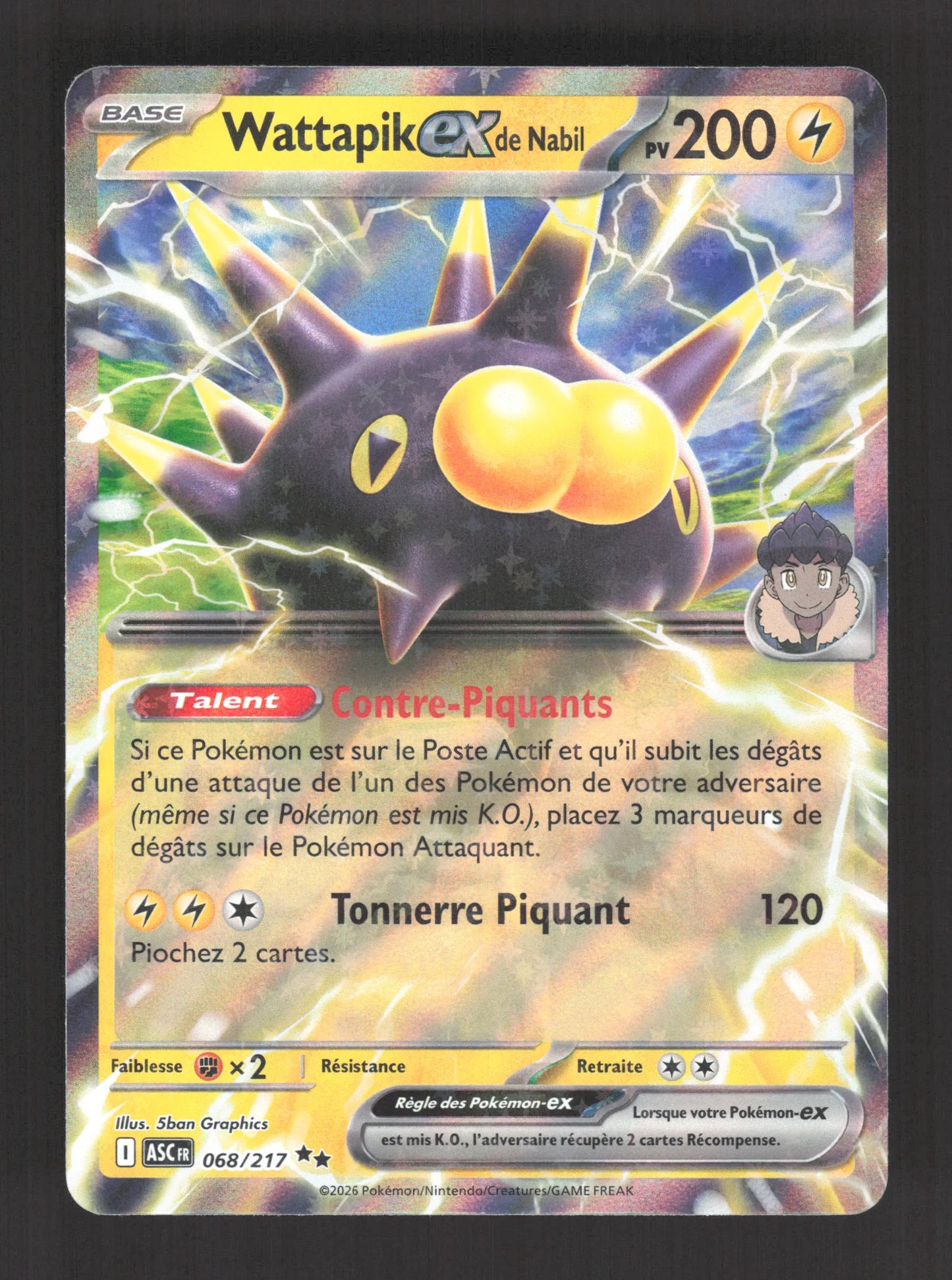 068/217 Wattapik EX - Héros Transcendants