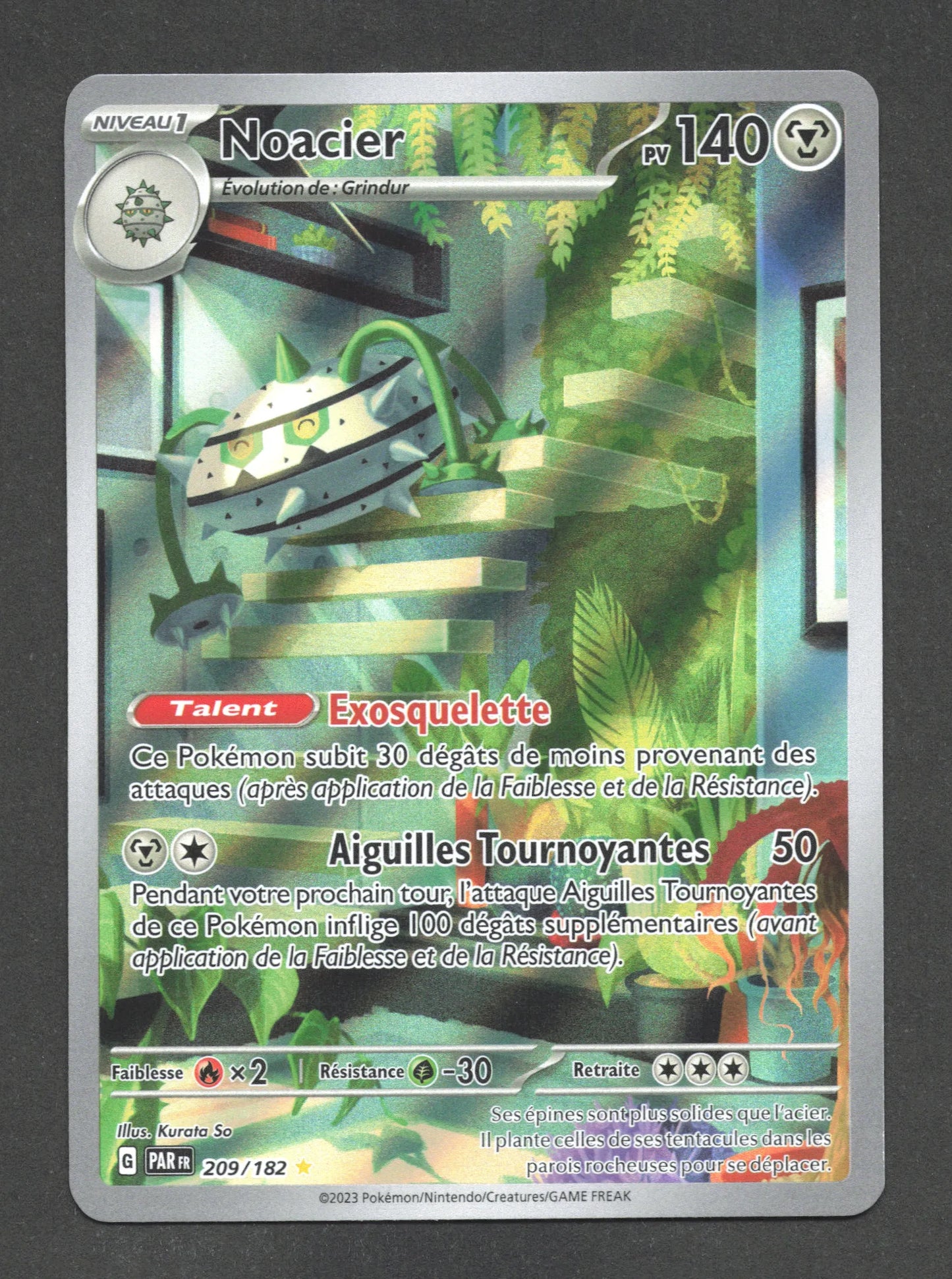 209/182 Noacier AR - Faille Paradoxe