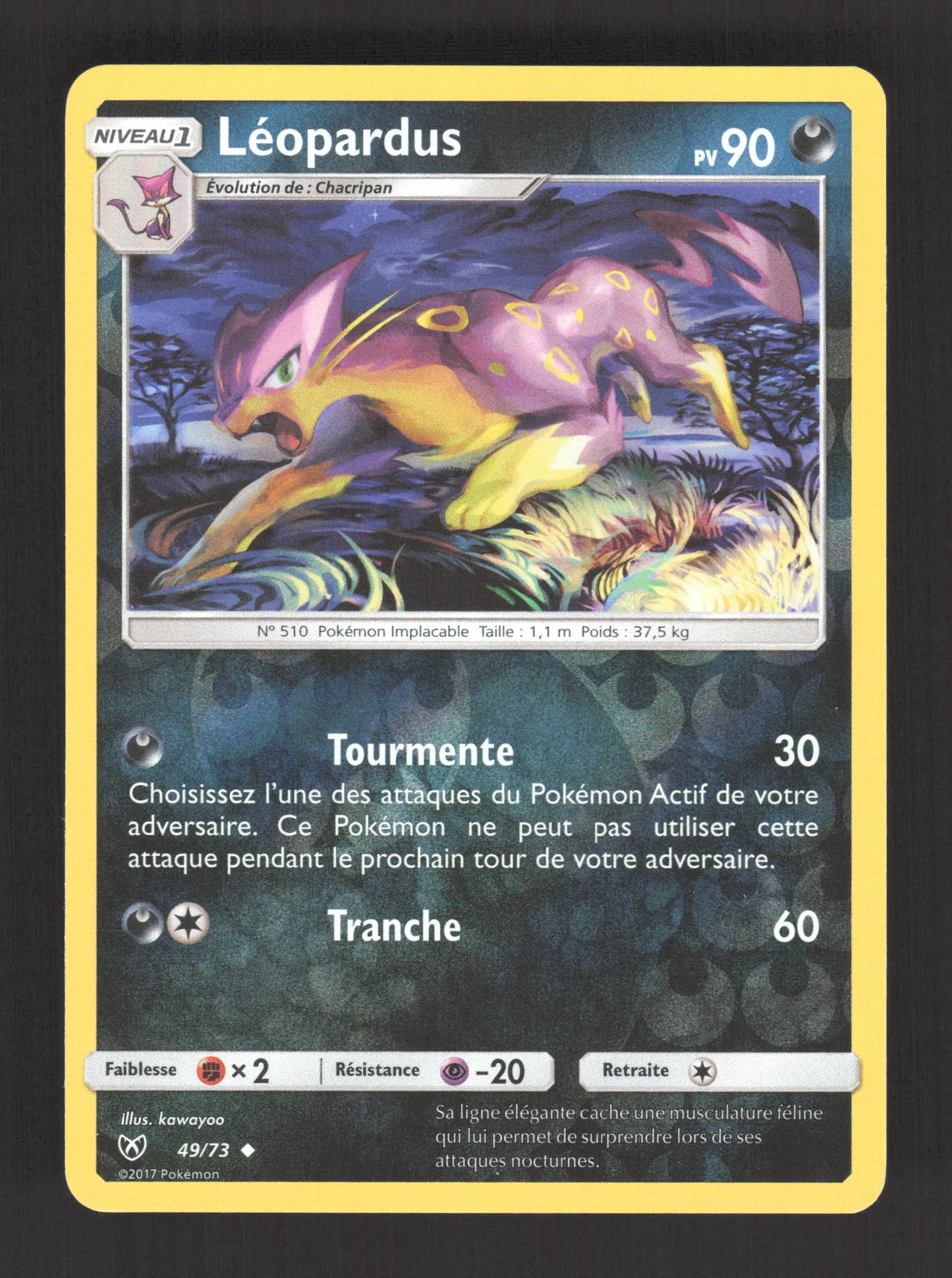 49/73 Leopardus REVERSE - Légendes Brillantes