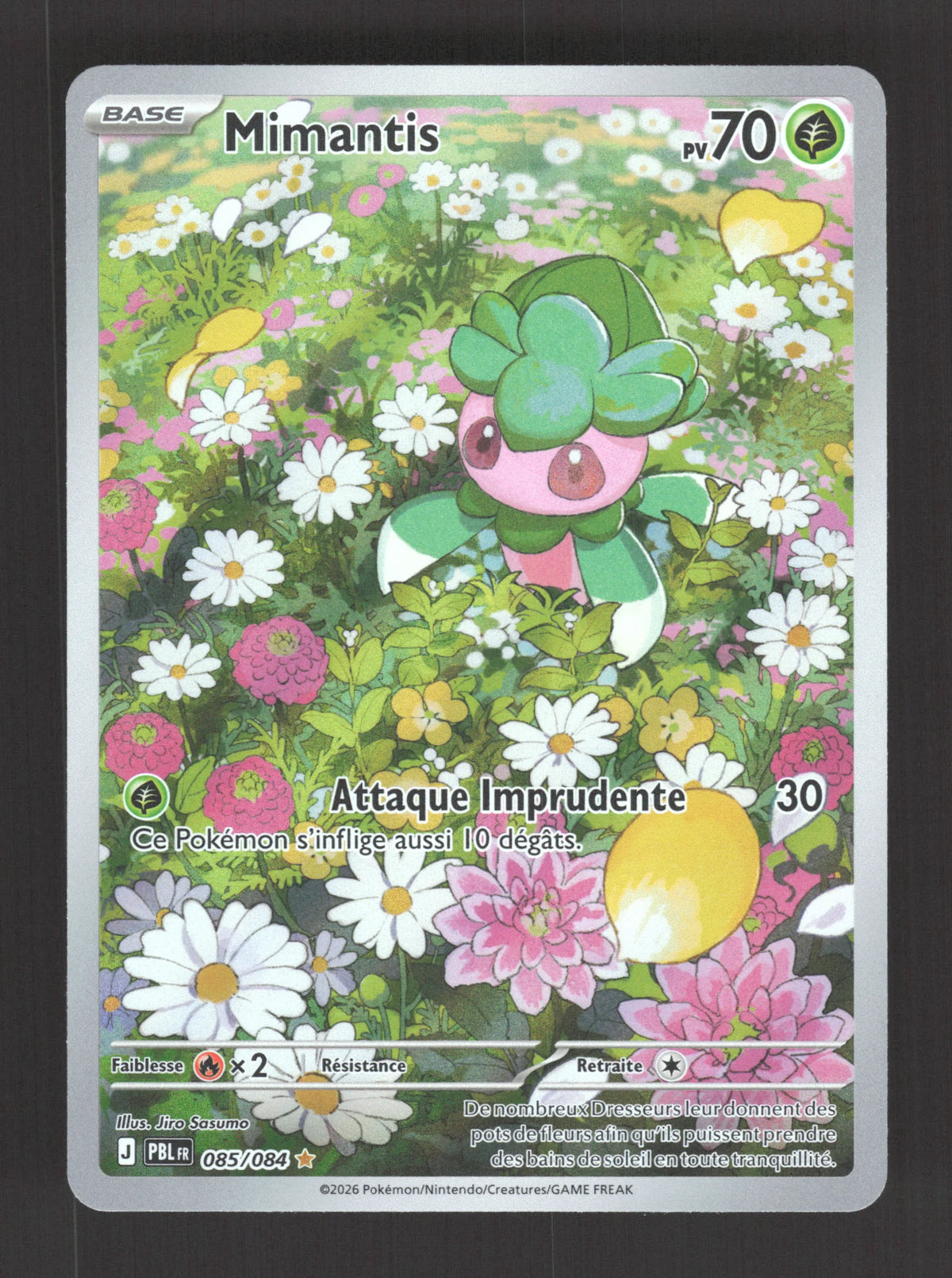 085/084 Mimantis AR - Nuit Noire