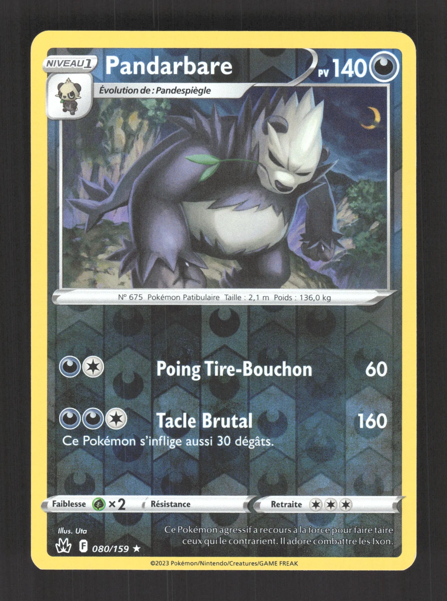 080/159 Pandarbare REVERSE - Zénith Suprême