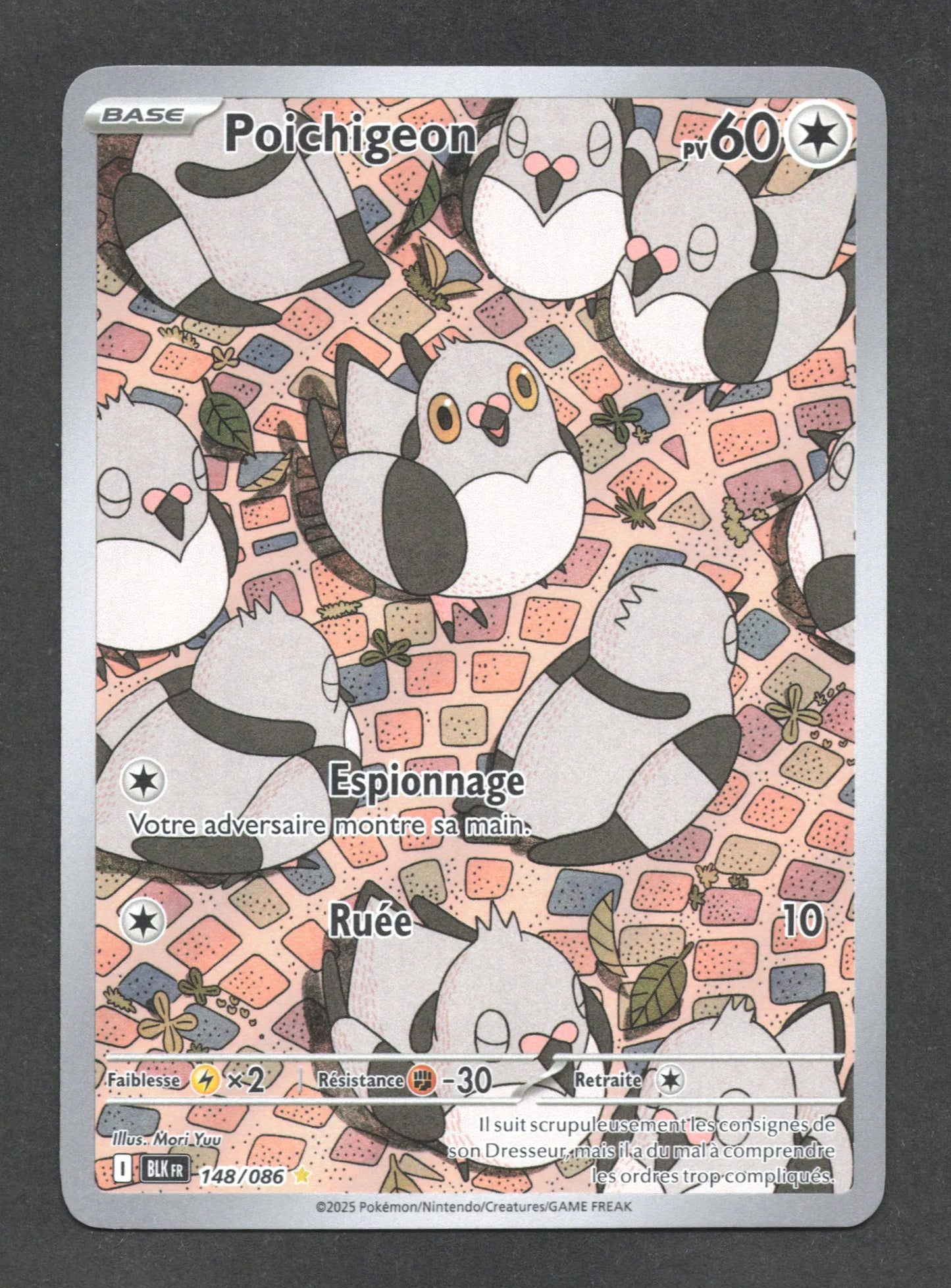 148/086 Poichigeon AR - Foudre Noire