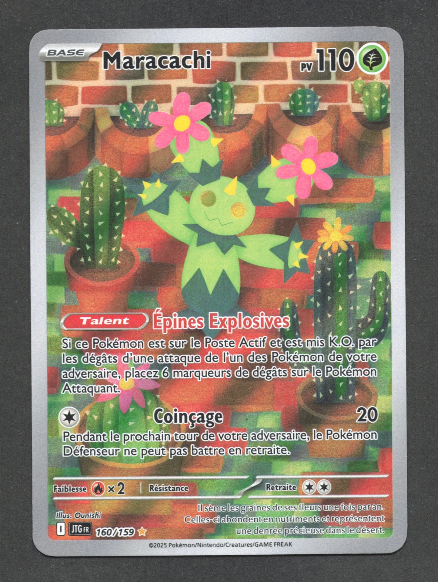 160/159 Maracachi AR - Aventures Ensemble