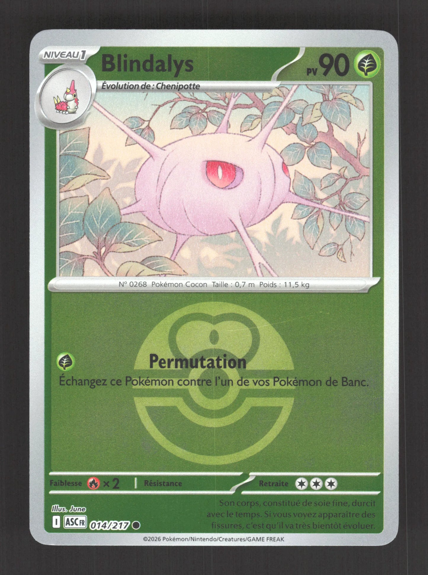 014/217 Blindalys POKEBALL - Héros Transcendants
