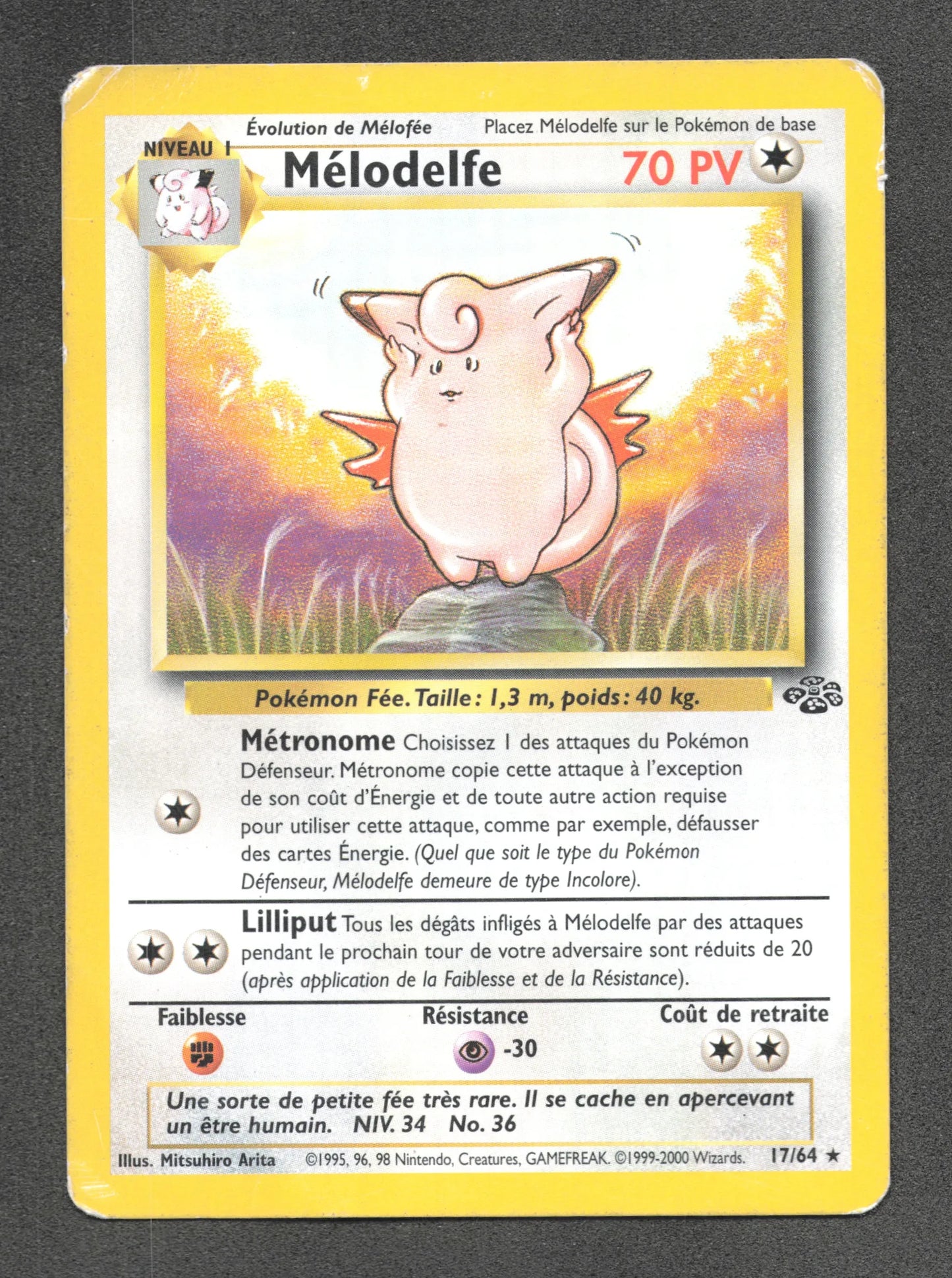 17/64 Melodelfe RARE - Jungle