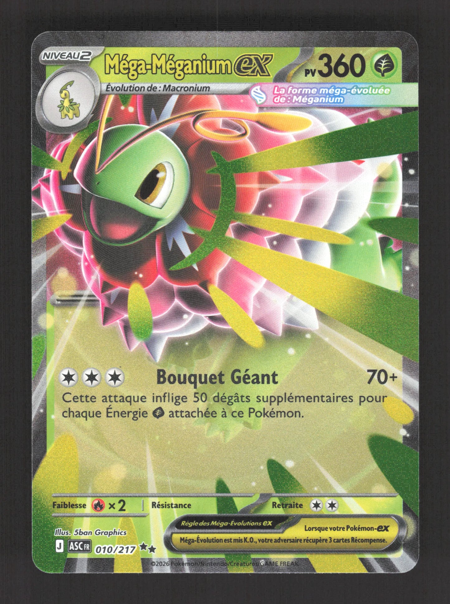 010/217 Mega Meganium EX - Héros Transcendants