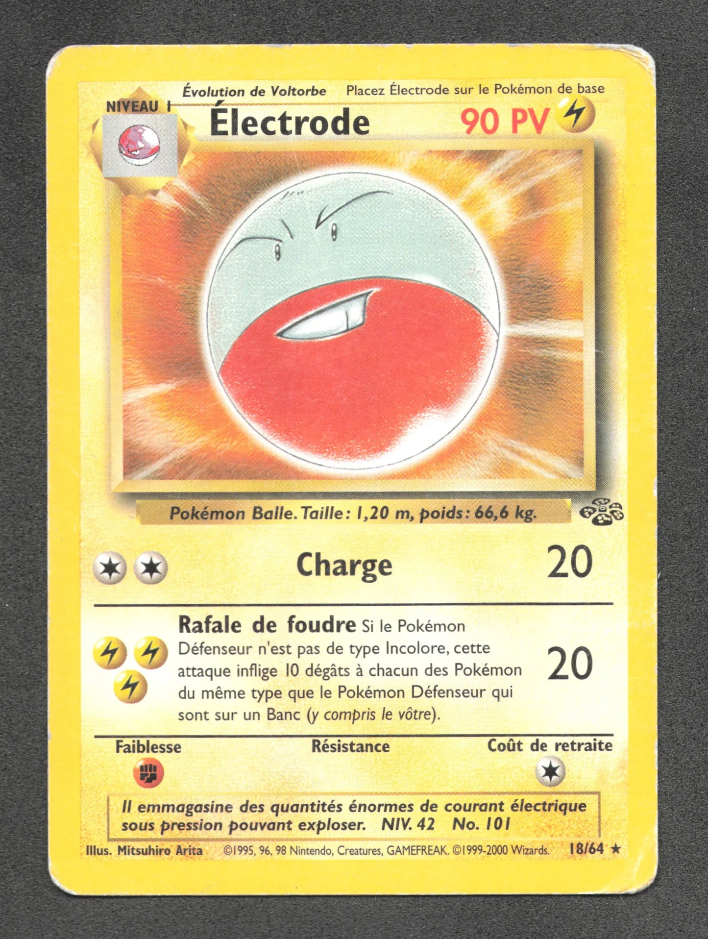 18/64 Electrode RARE - Jungle
