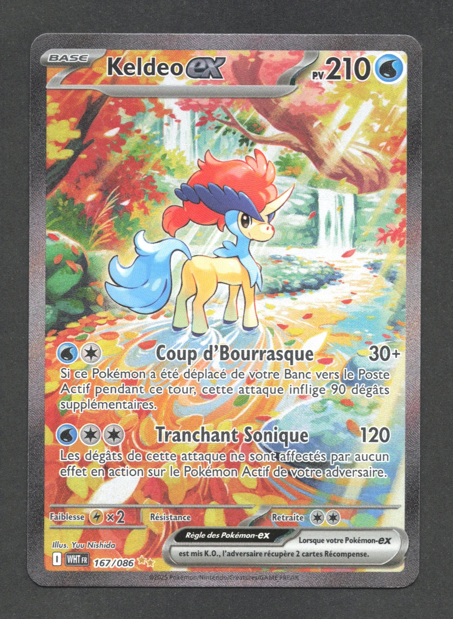 167/086 Keldeo EX - Flamme Blanche