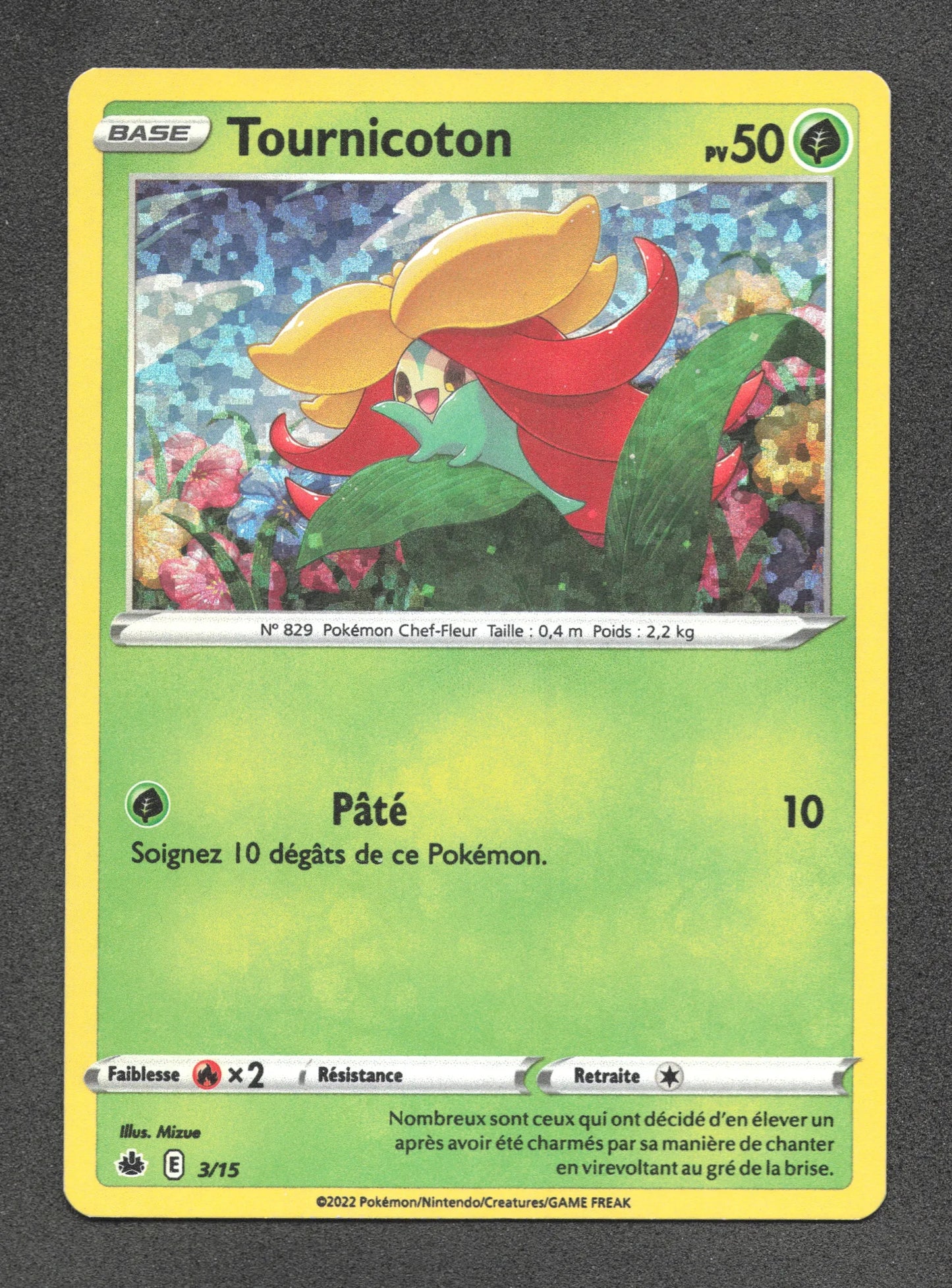 3/15 Tournicoton HOLO - McDonald's 2022