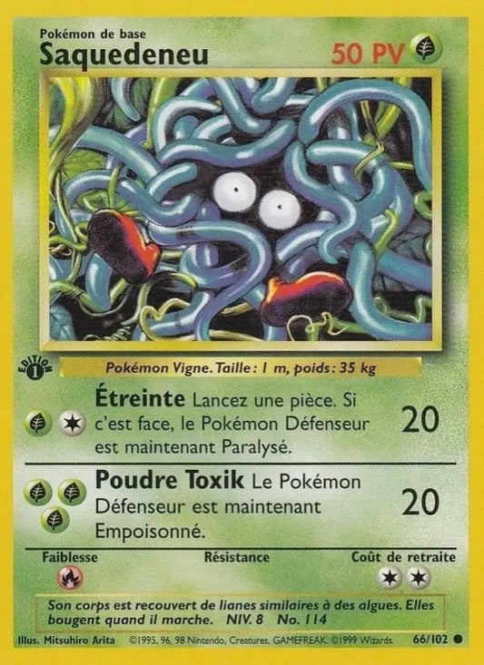 66/102 Saquedeneu CO - Set de Base