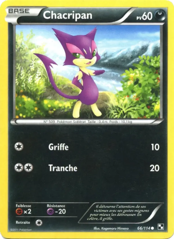 66/114 Chacripan REVERSE - Noir & Blanc