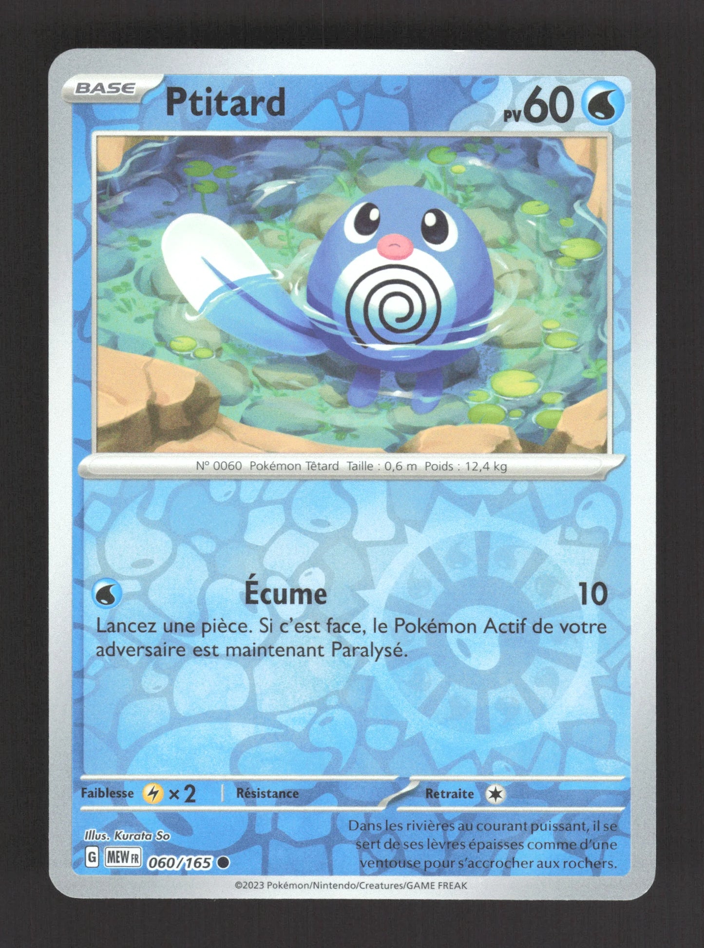 060/165 Ptitard REVERSE - 151