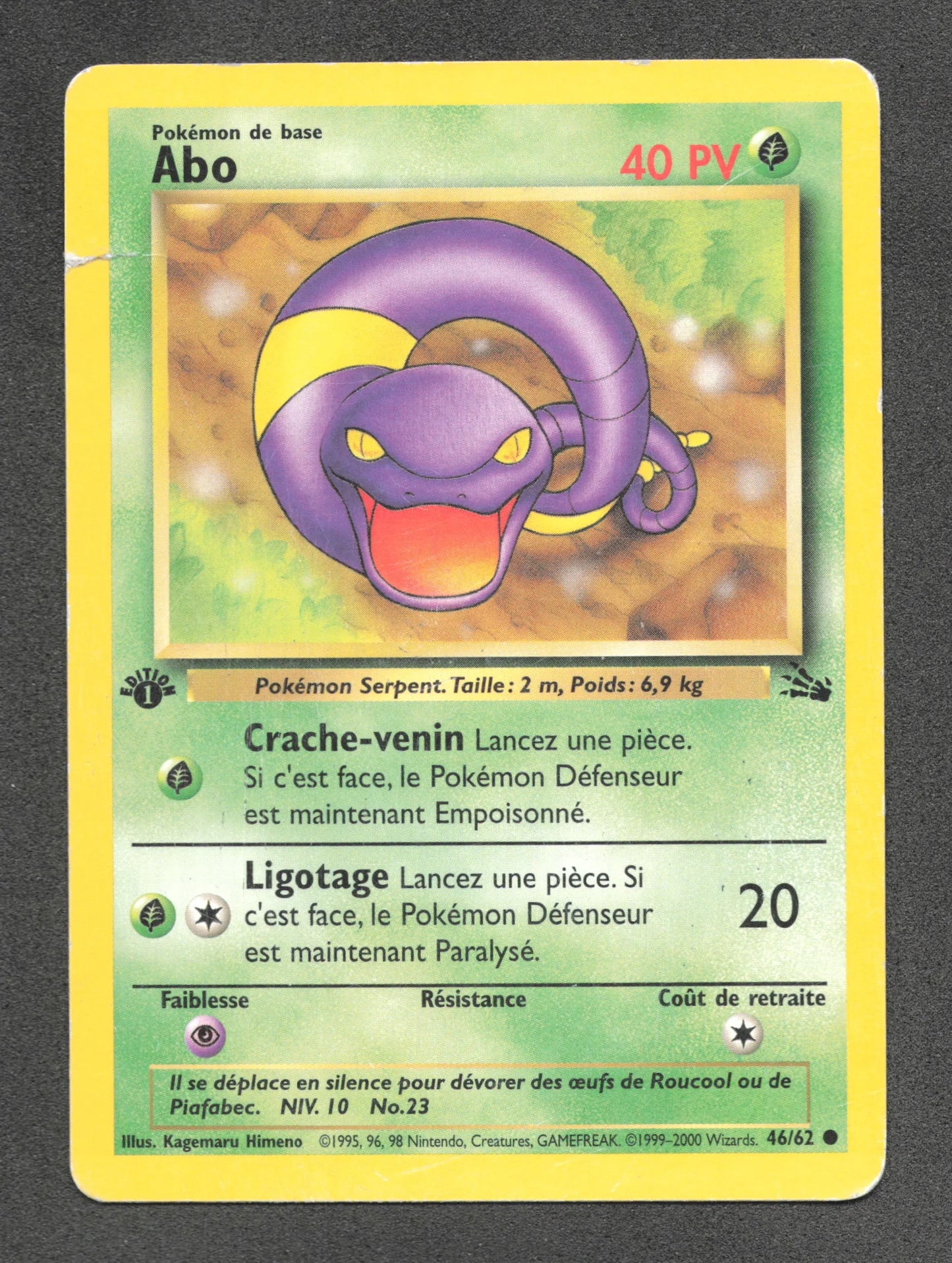 46/62 Abo CO ED1 - Fossile
