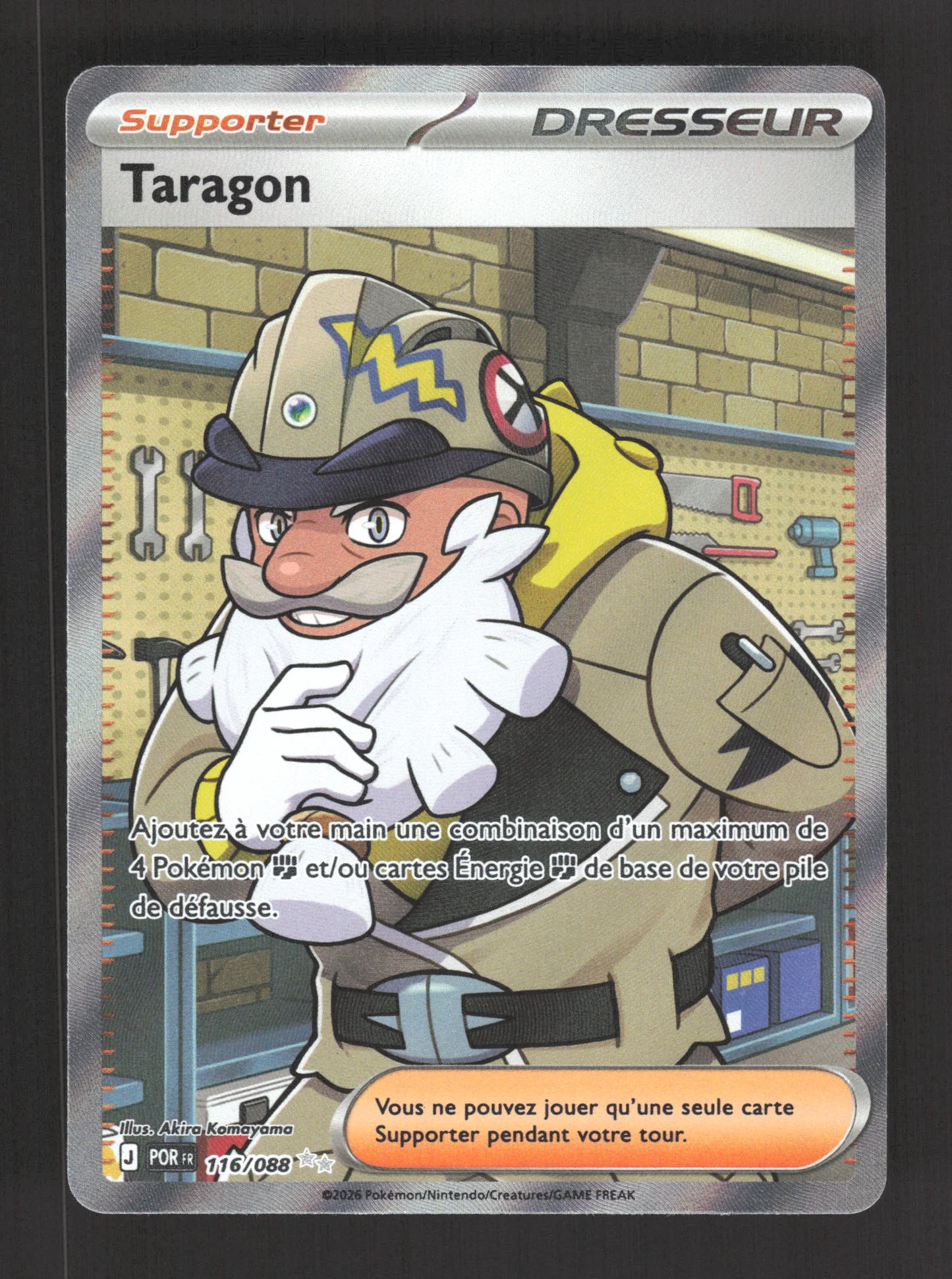 116/088 Taragon DRESSEUR - Équilibre Parfait