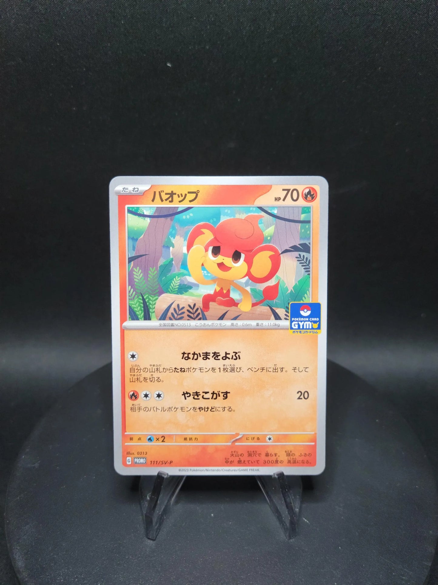 111/SV-P Flamajou PROMO JP - SV-P Promotional