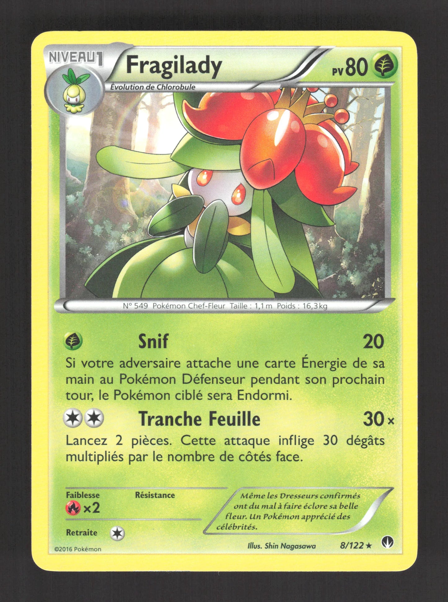 8/122 Fragilady RARE - Rupture Turbo