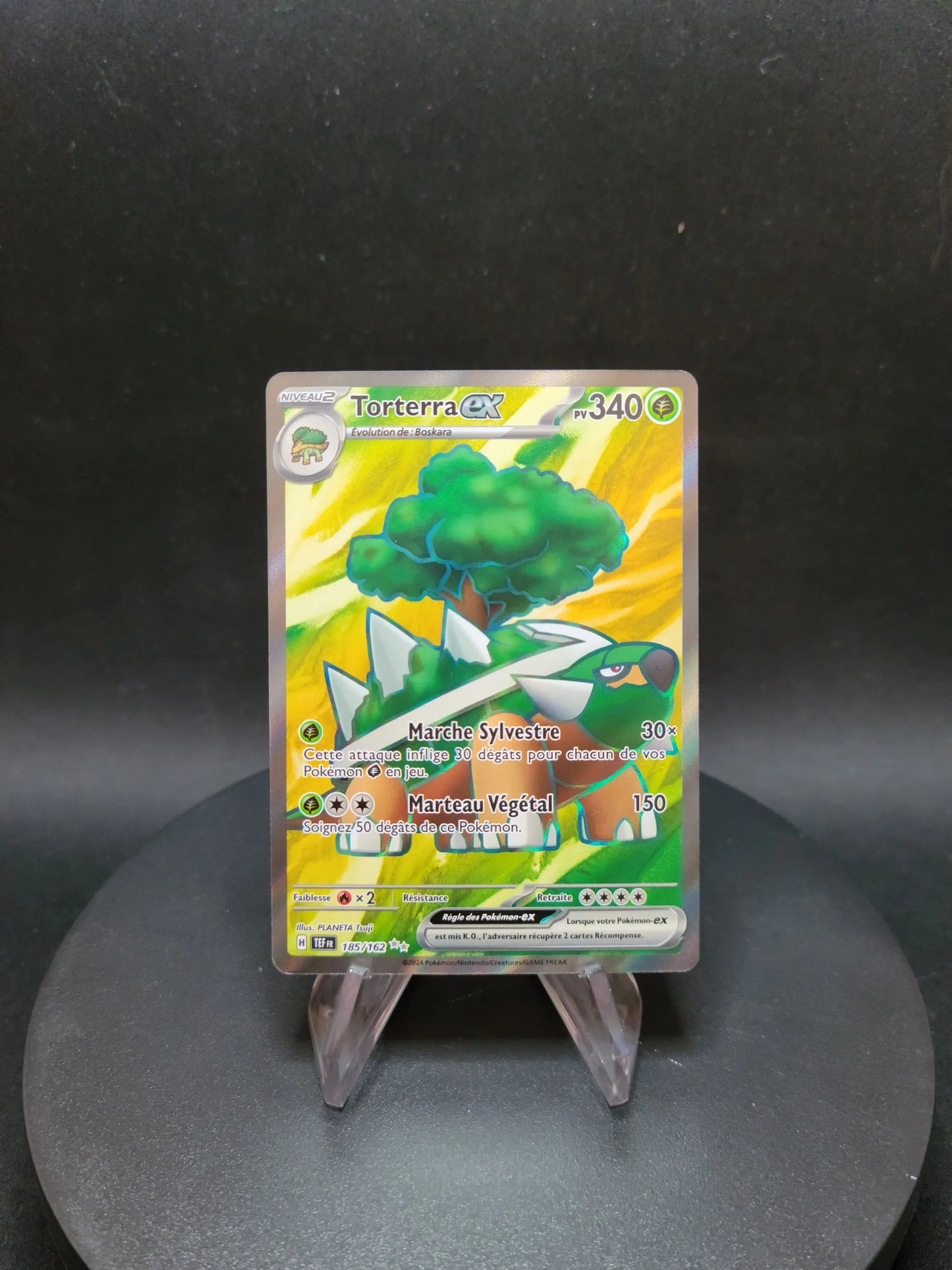 185/162 Torterra EX - Forces Temporelles