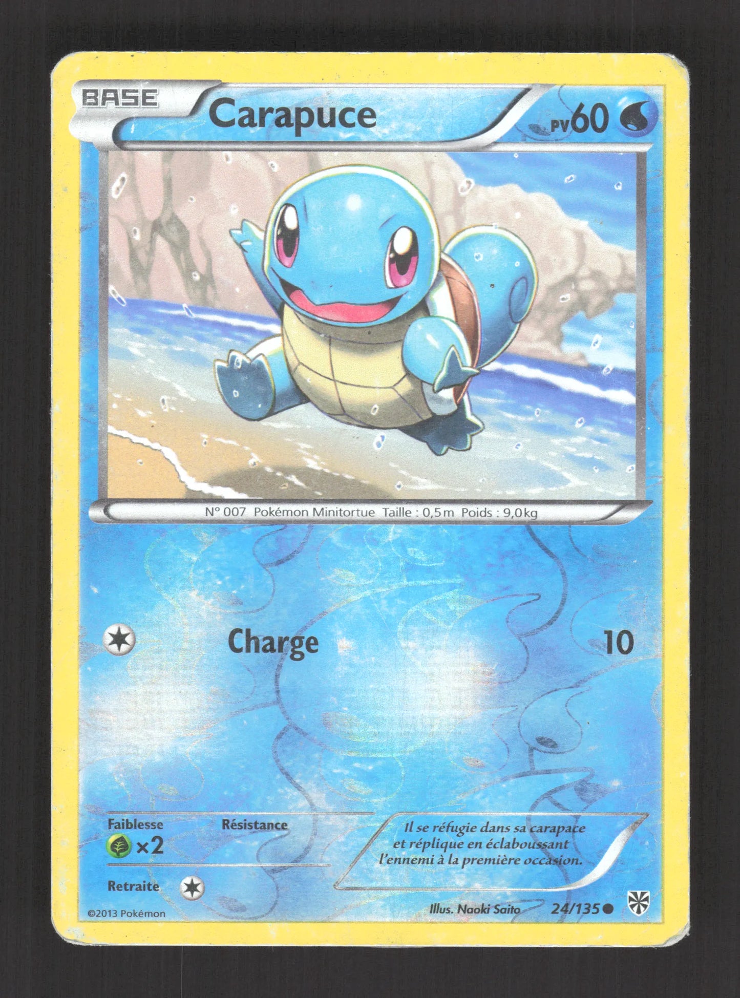 24/135 Carapuce REVERSE - Tempête Plasma