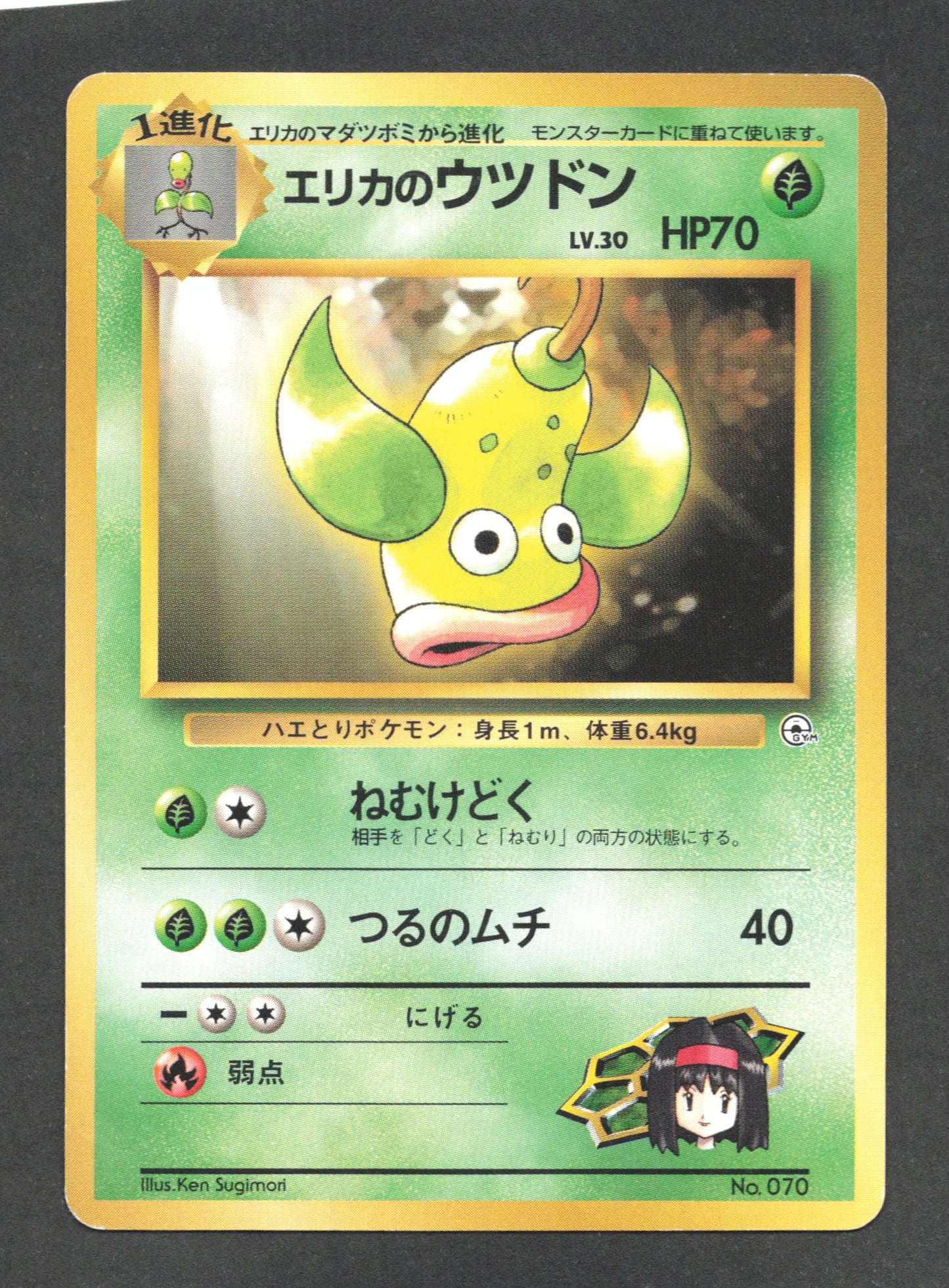 070 Boustiflor UNCO JP - Tamamushi City Gym