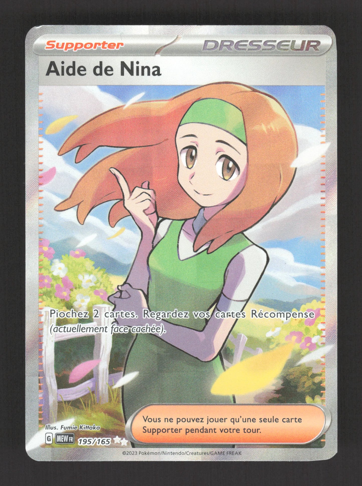 195/165 Aide de Nina DRESSEUR - 151