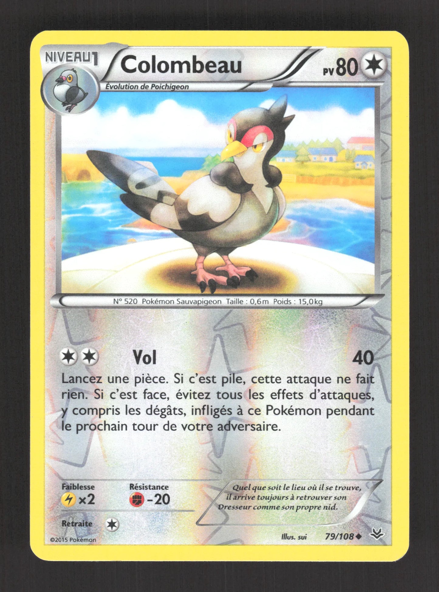 79/108 Colombeau REVERSE - Ciel Rugissant