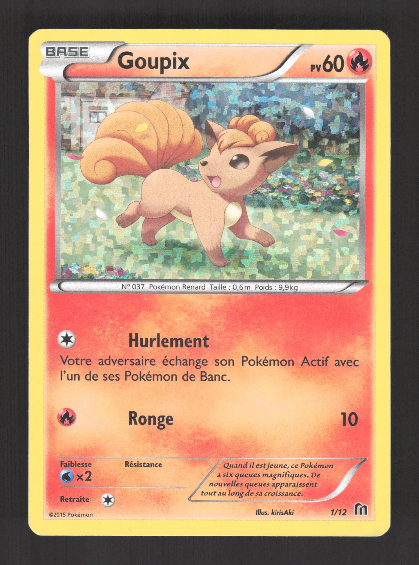 1/12 Goupix HOLO - McDonald's 2016
