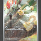 078/071 Bombydou AR JP - Cyber Judge