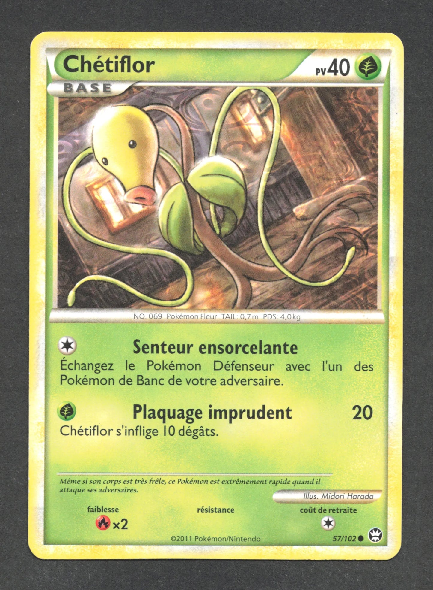 57/102 Chetiflor CO - Triomphe