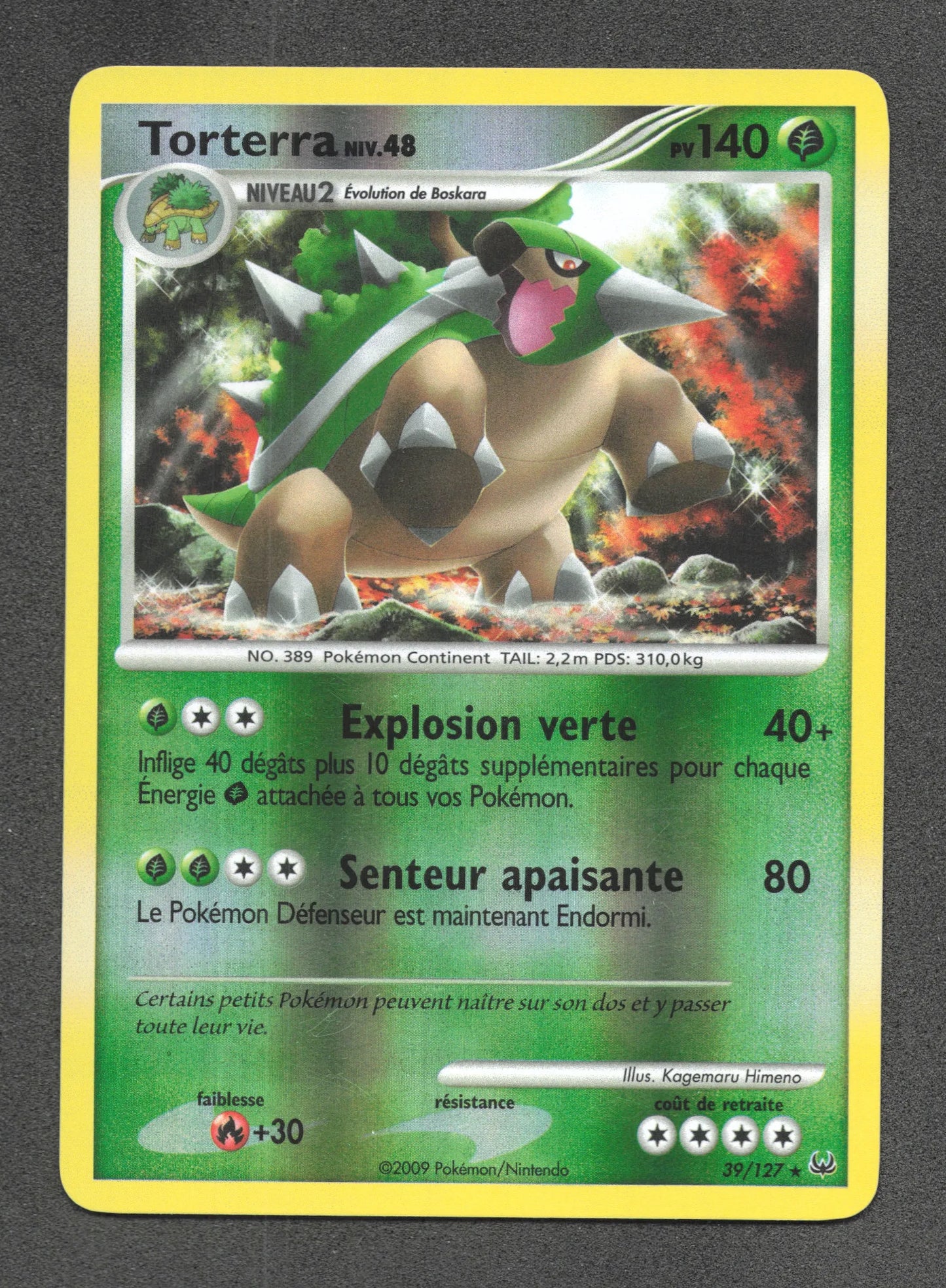 39/127 Torterra REVERSE - Platine