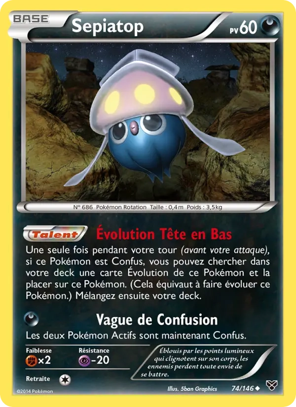 74/146 Sepiatop REVERSE - XY