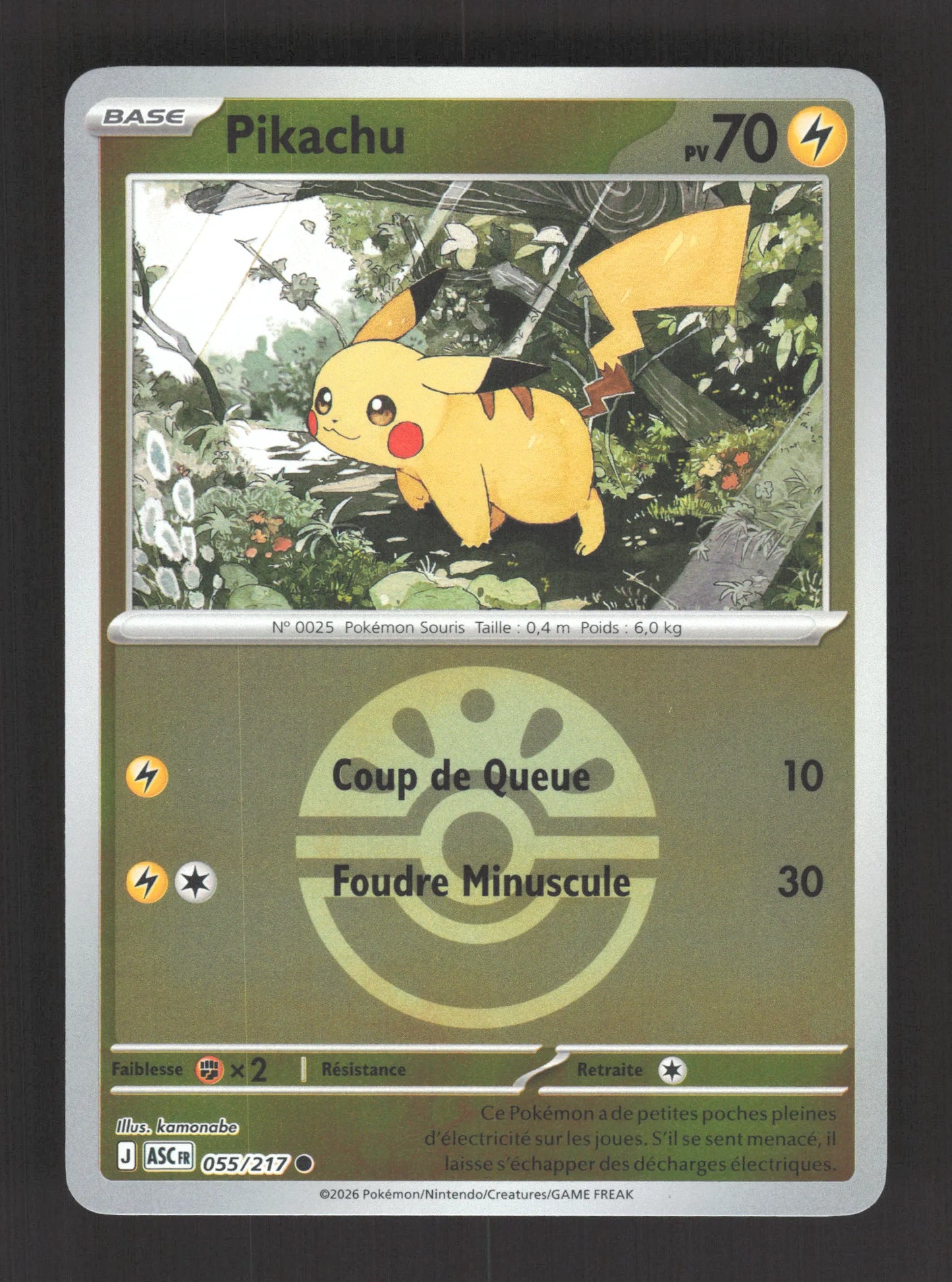 055/217 Pikachu POKEBALL - Héros Transcendants