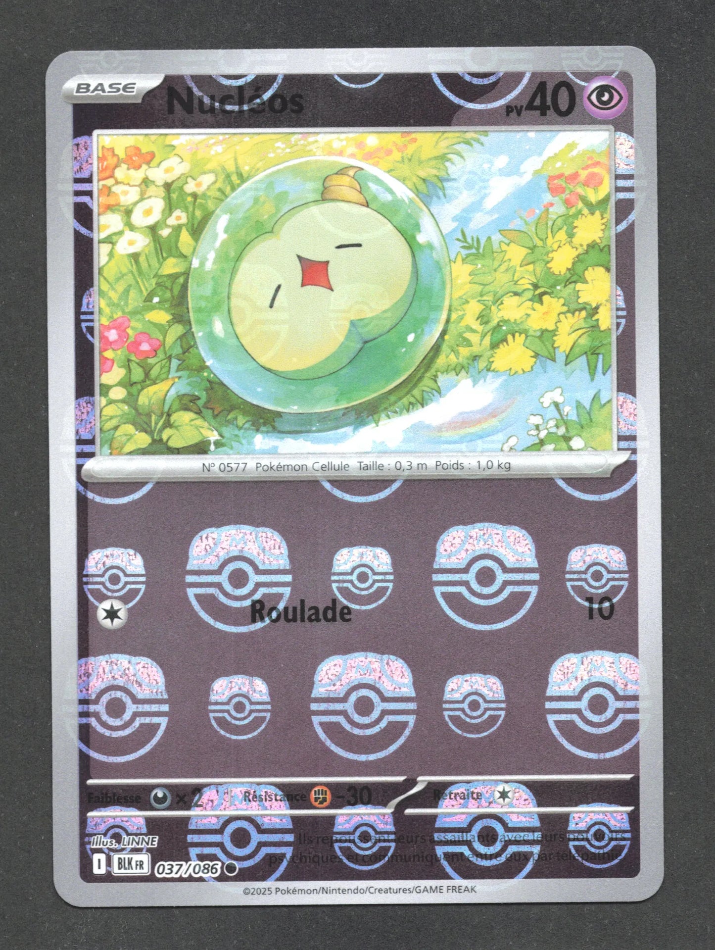 037/086 Nucleos MASTERBALL - Foudre Noire - Masterball