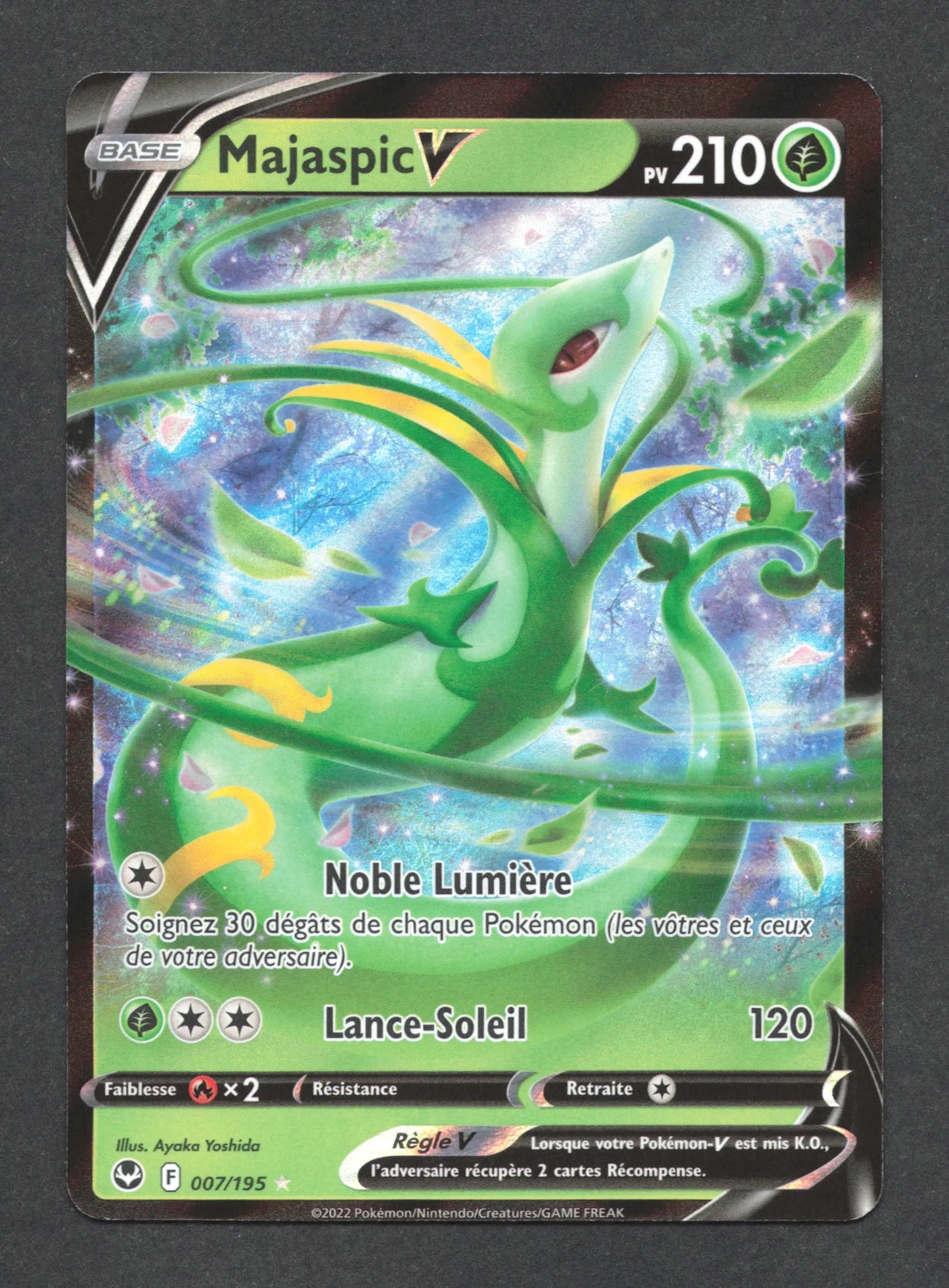 007/195 Majaspic V - Tempête Argentée