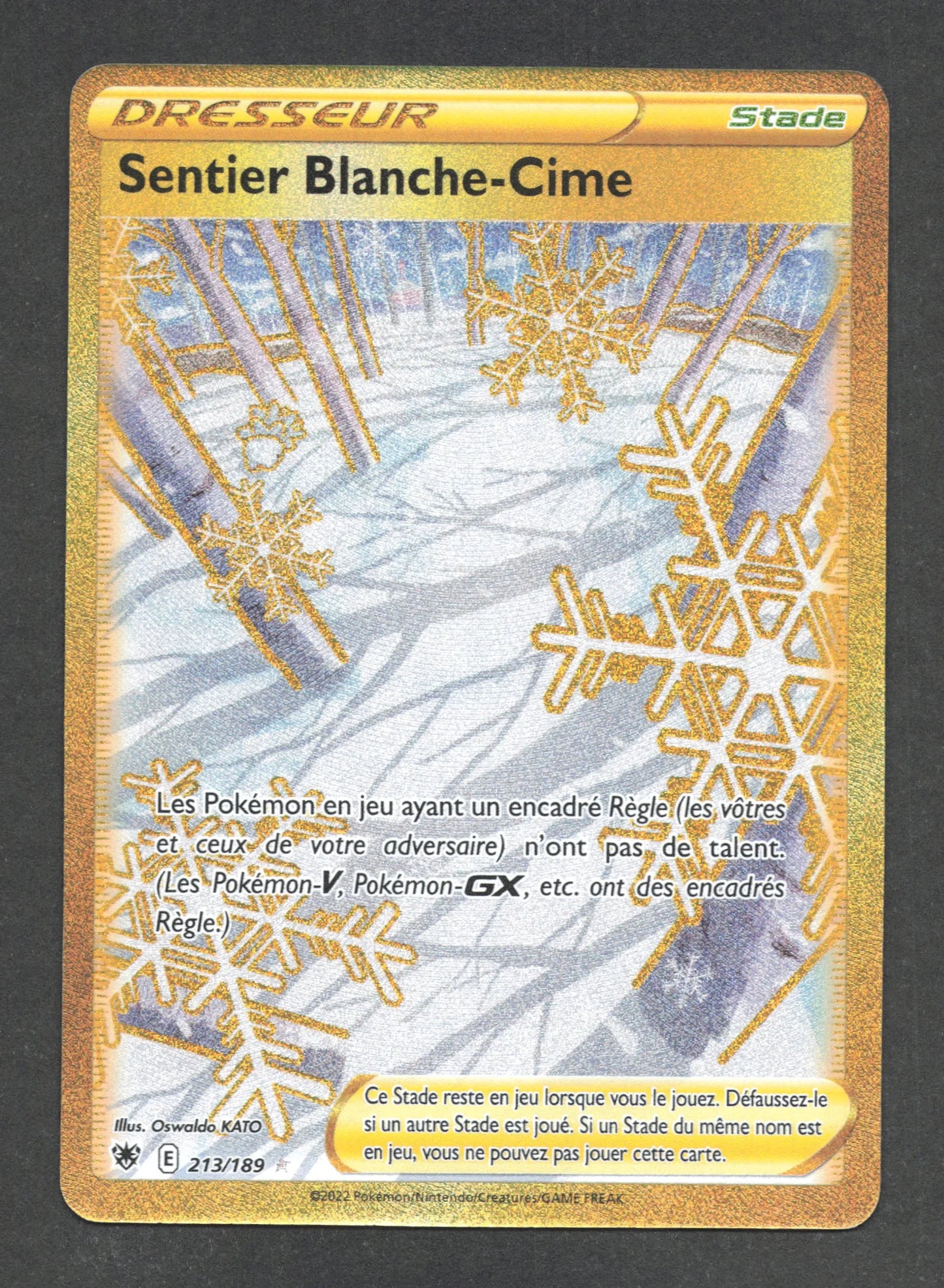 213/189 Sentier Blanche Cime DRESSEUR - Astres Radieux