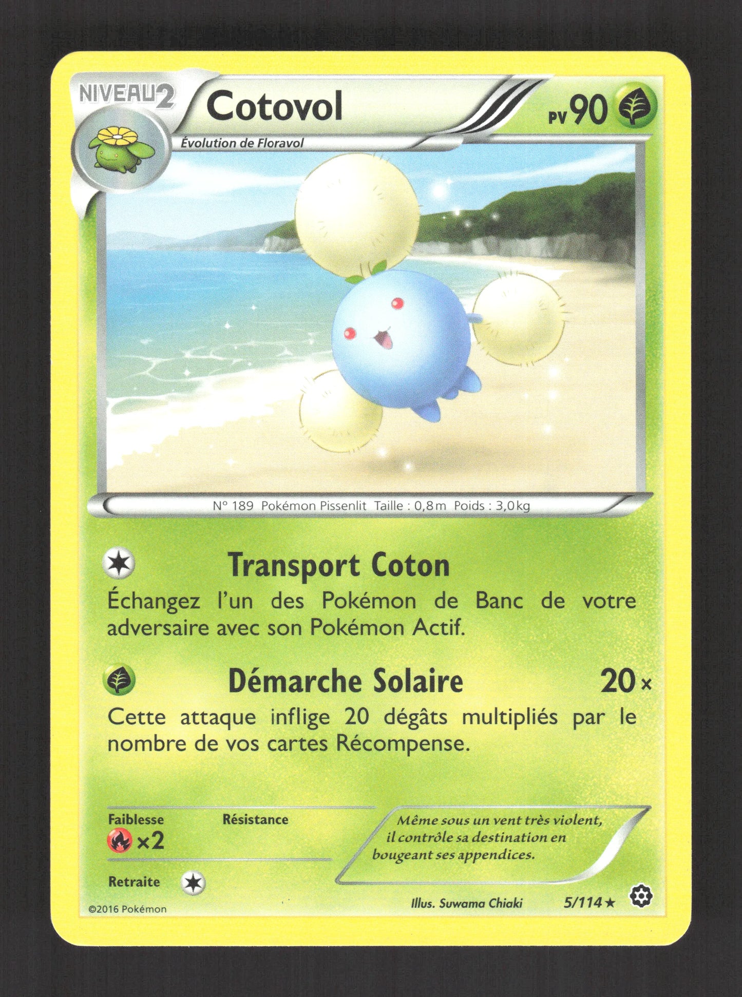 5/114 Cotovol RARE - Offensive Vapeur