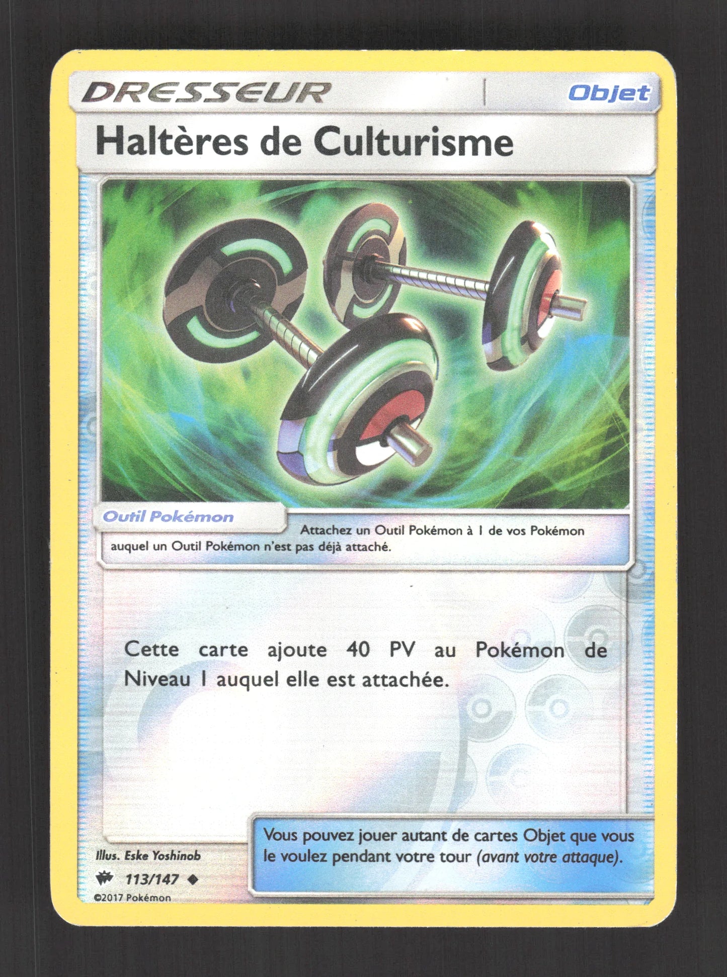 113/147 Halteres de Culturisme REVERSE - Ombres Ardentes