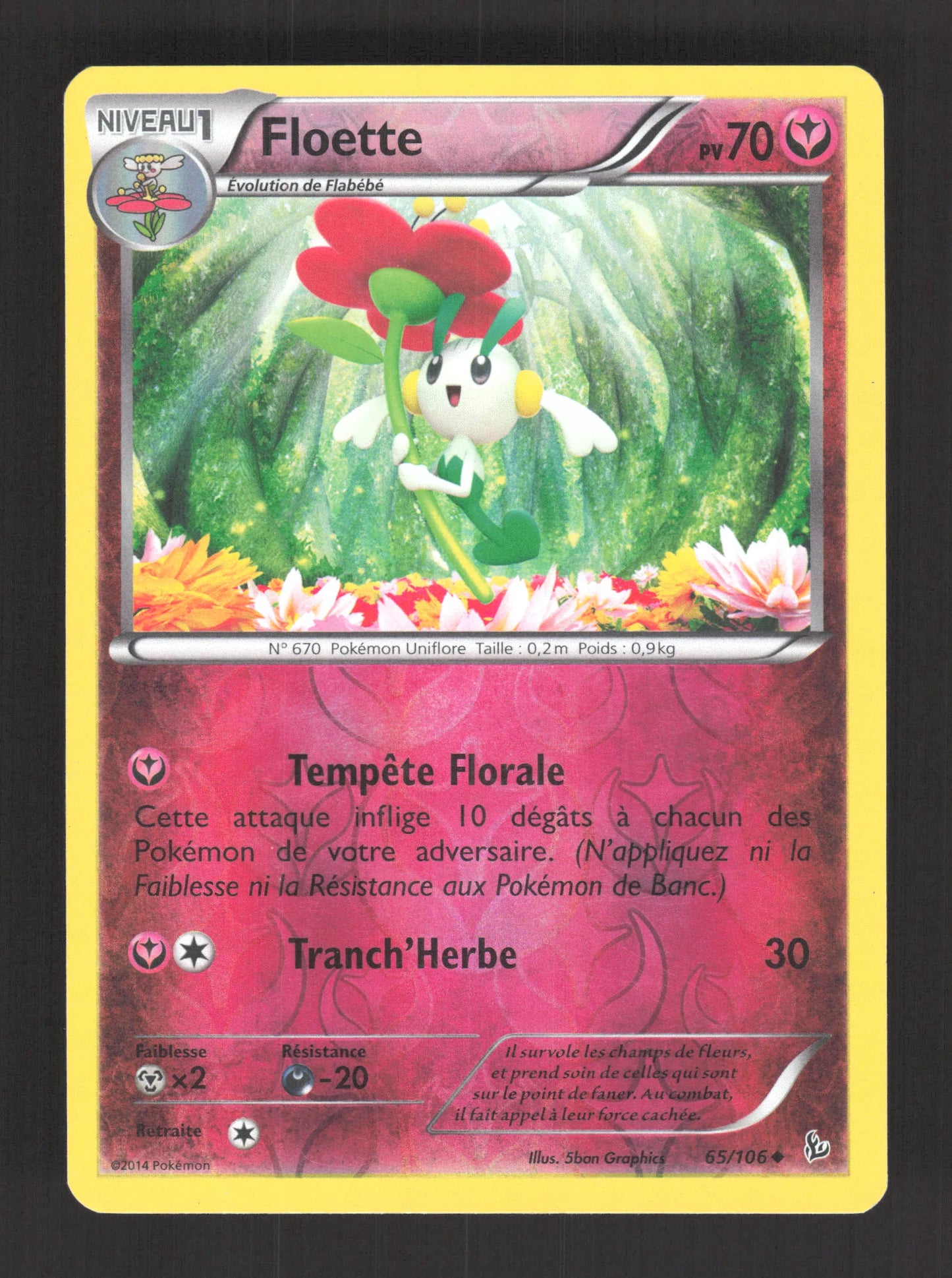 65/106 Floette REVERSE - Étincelles