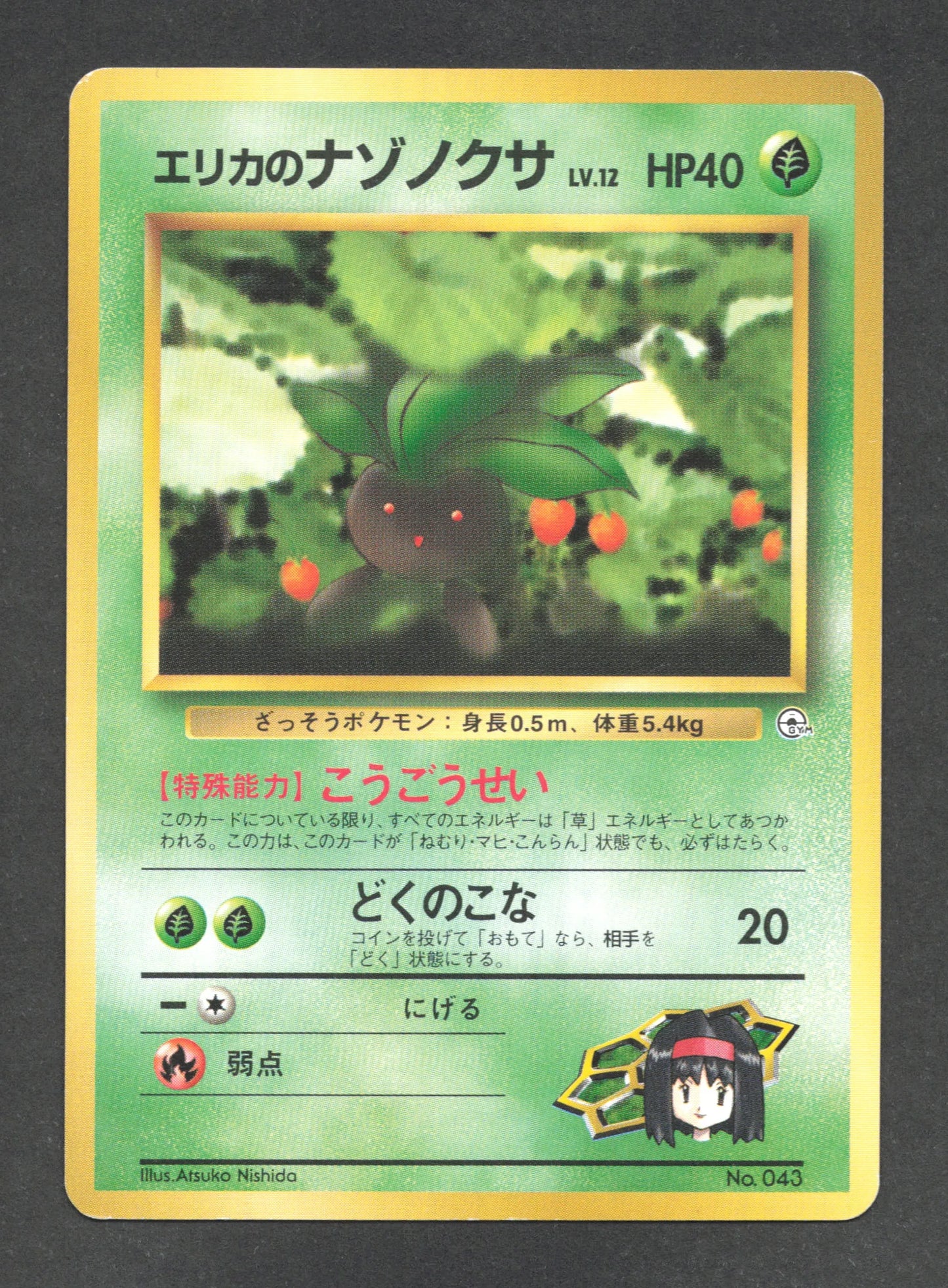 043 Mystherbe CO JP - Tamamushi City Gym
