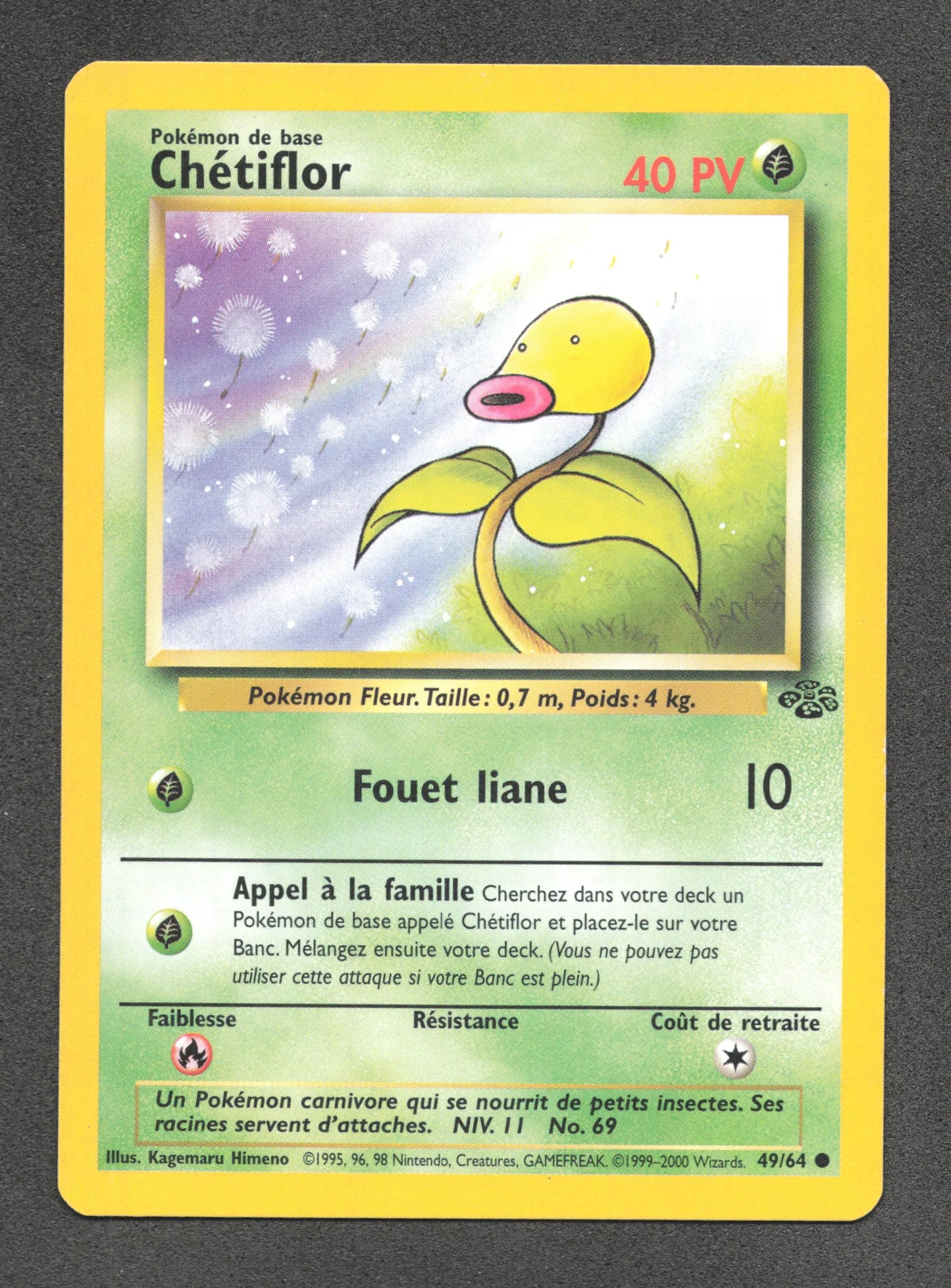 49/64 Chetiflor CO - Jungle