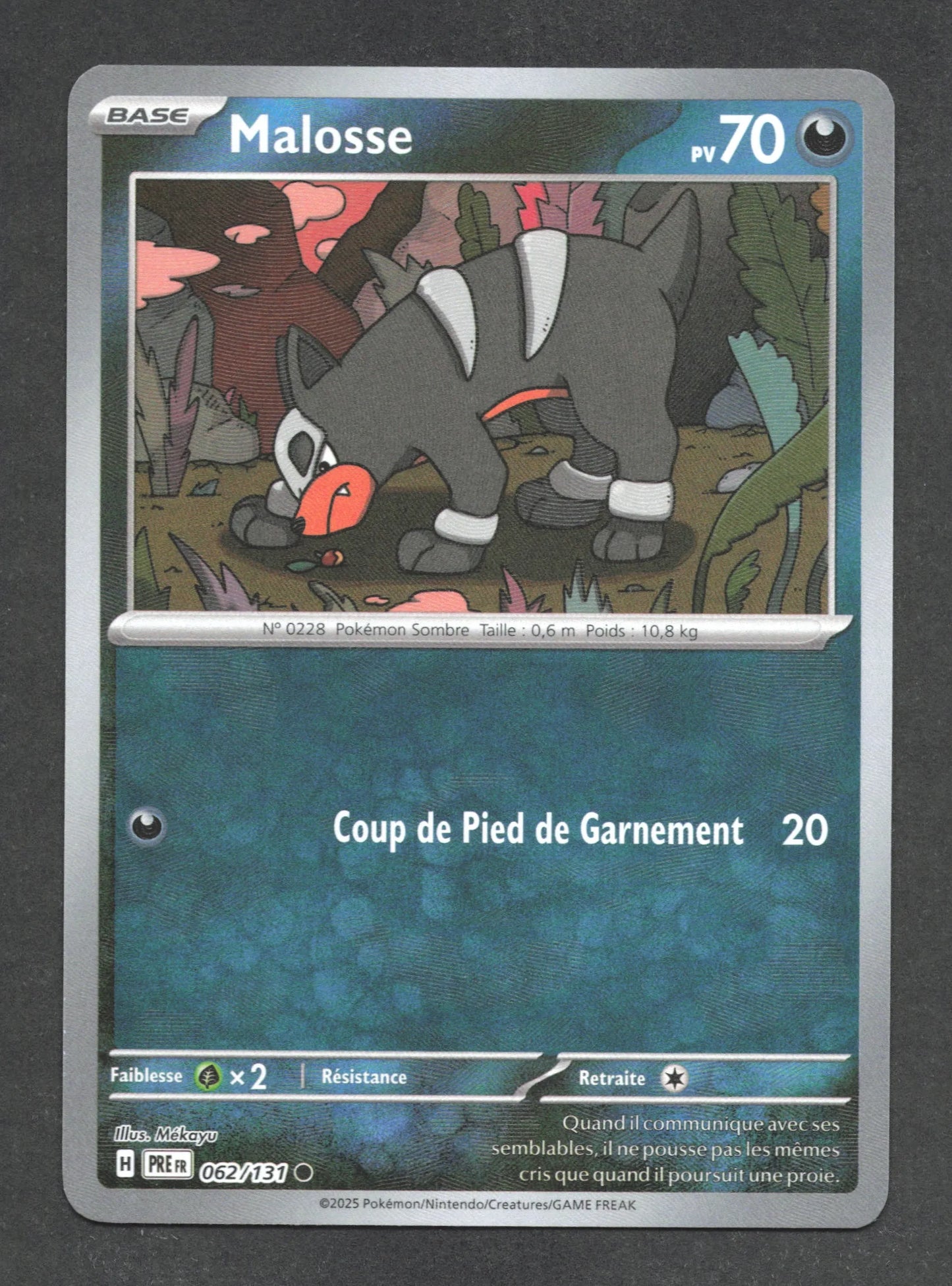 062/131 Malosse POKEBALL - Évolutions Prismatiques - Pokeball