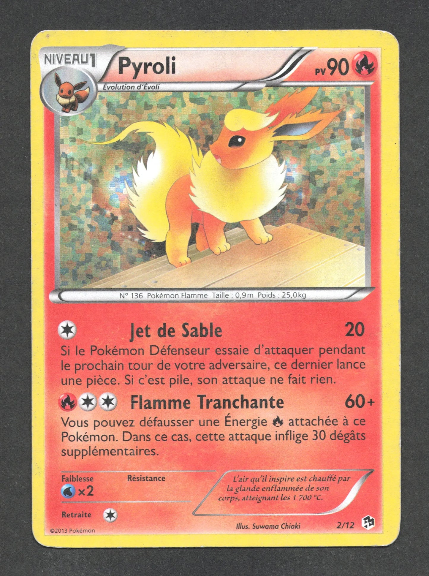 2/12 Pyroli HOLO - McDonald's 2013