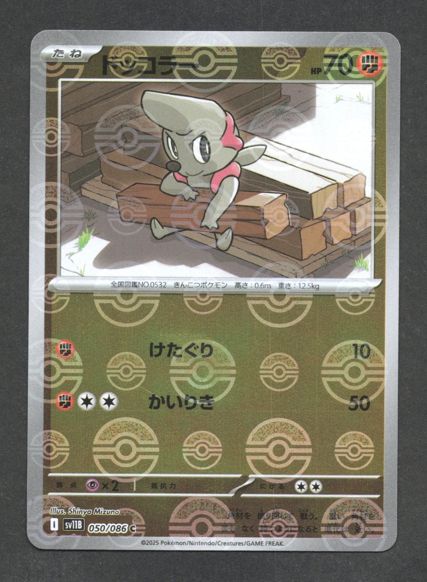 050/086 Charpenti POKEBALL JP - Black Bolt