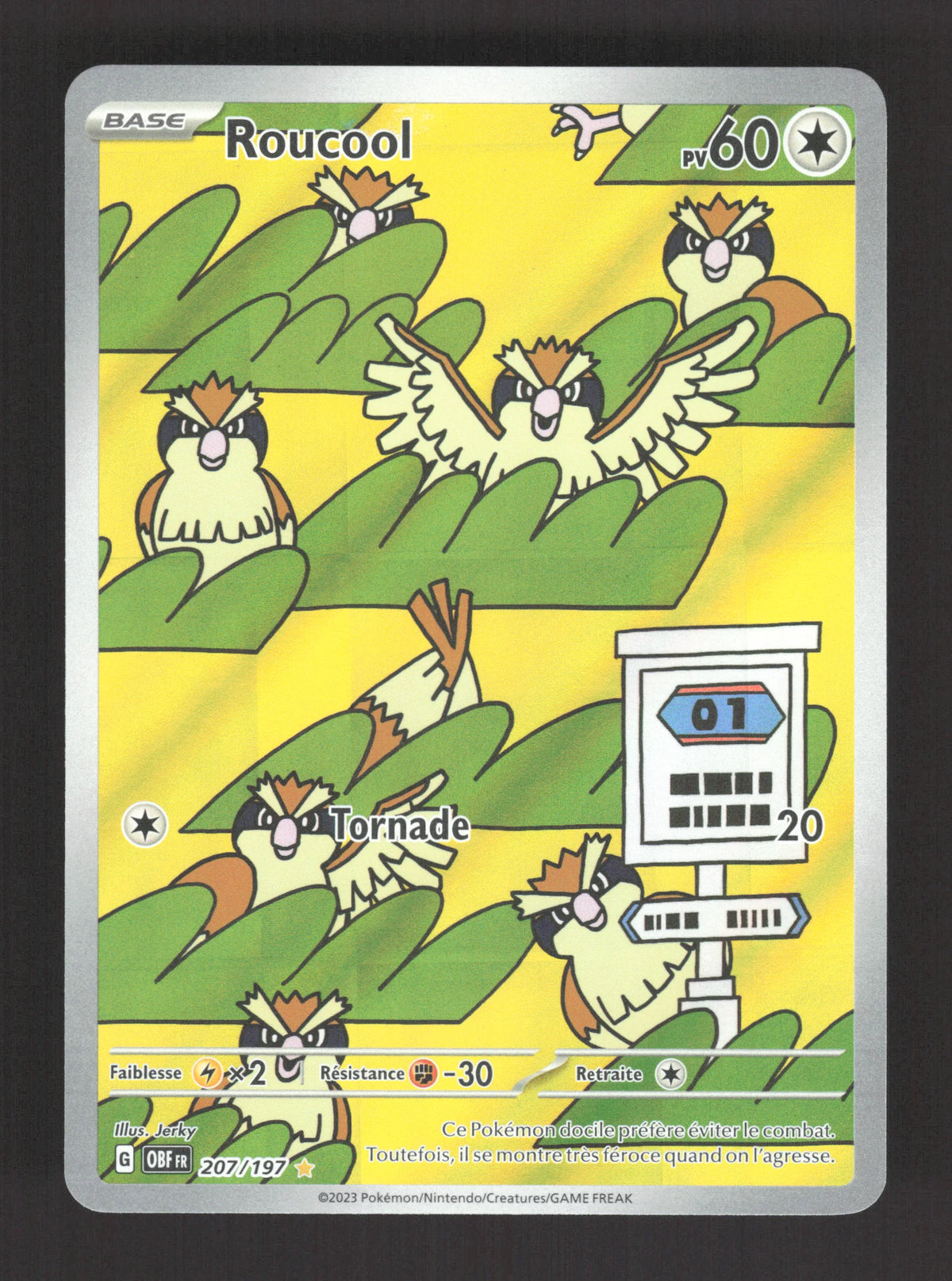 207/197 Roucool AR - Flammes Obsidiennes