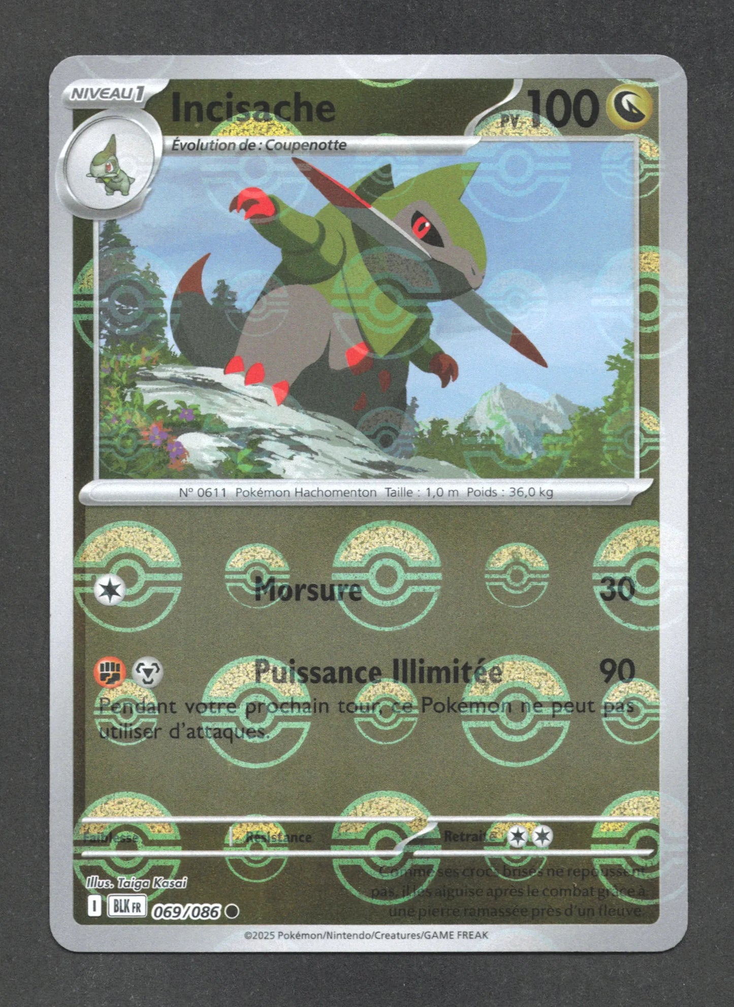 069/086 Incisache POKEBALL - Foudre Noire - Pokeball