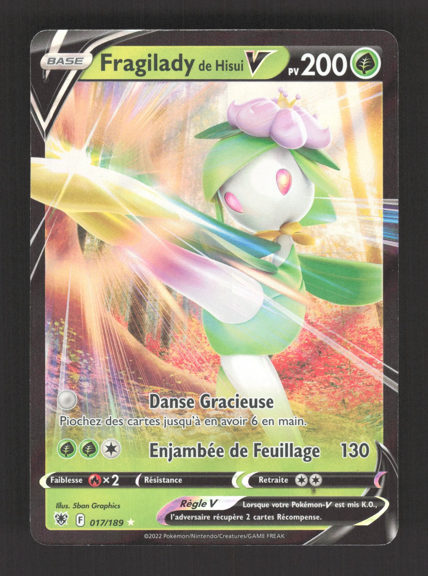 017/189 Fragilady V - Astres Radieux
