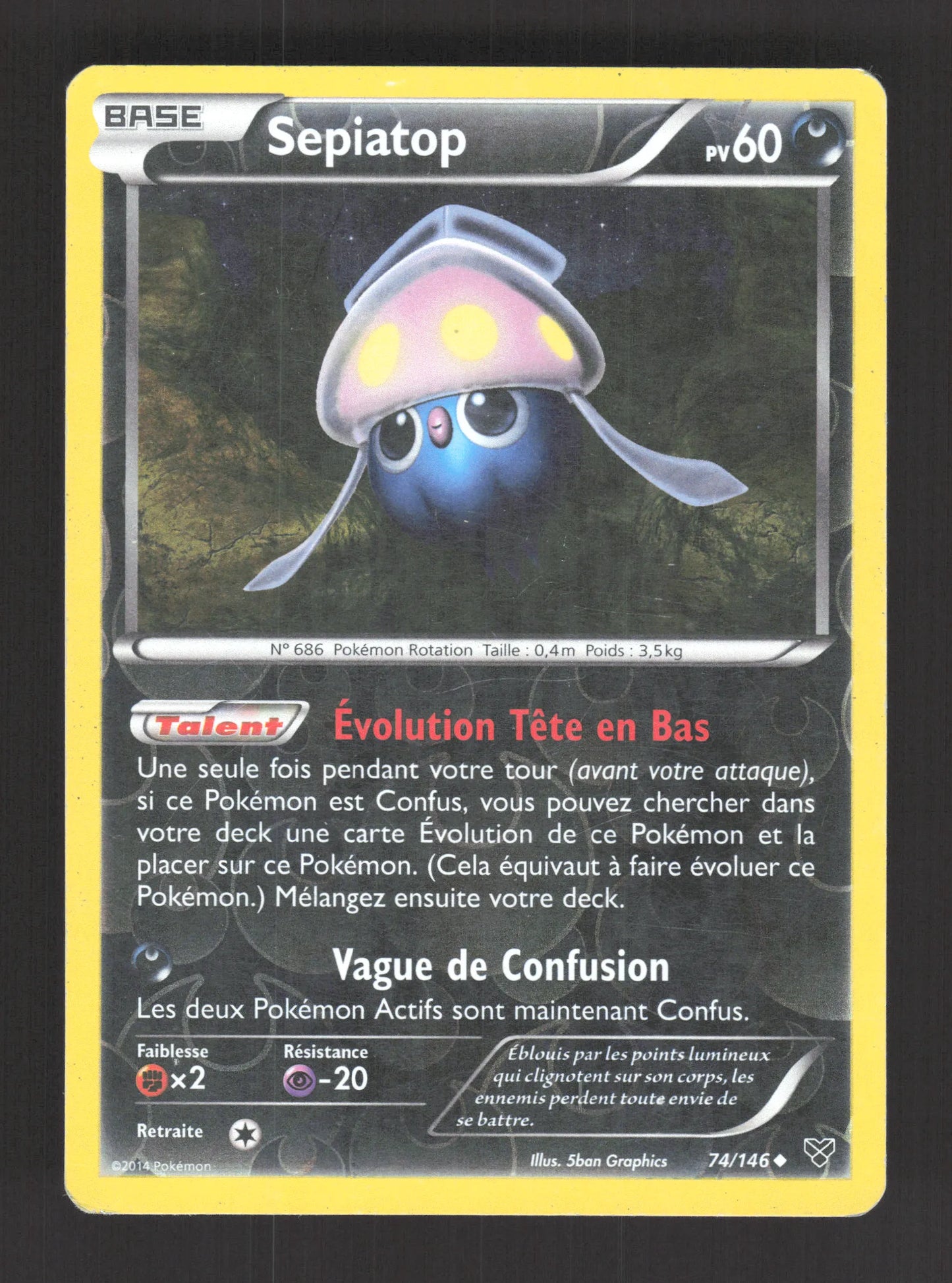 74/146 Sepiatop REVERSE - XY